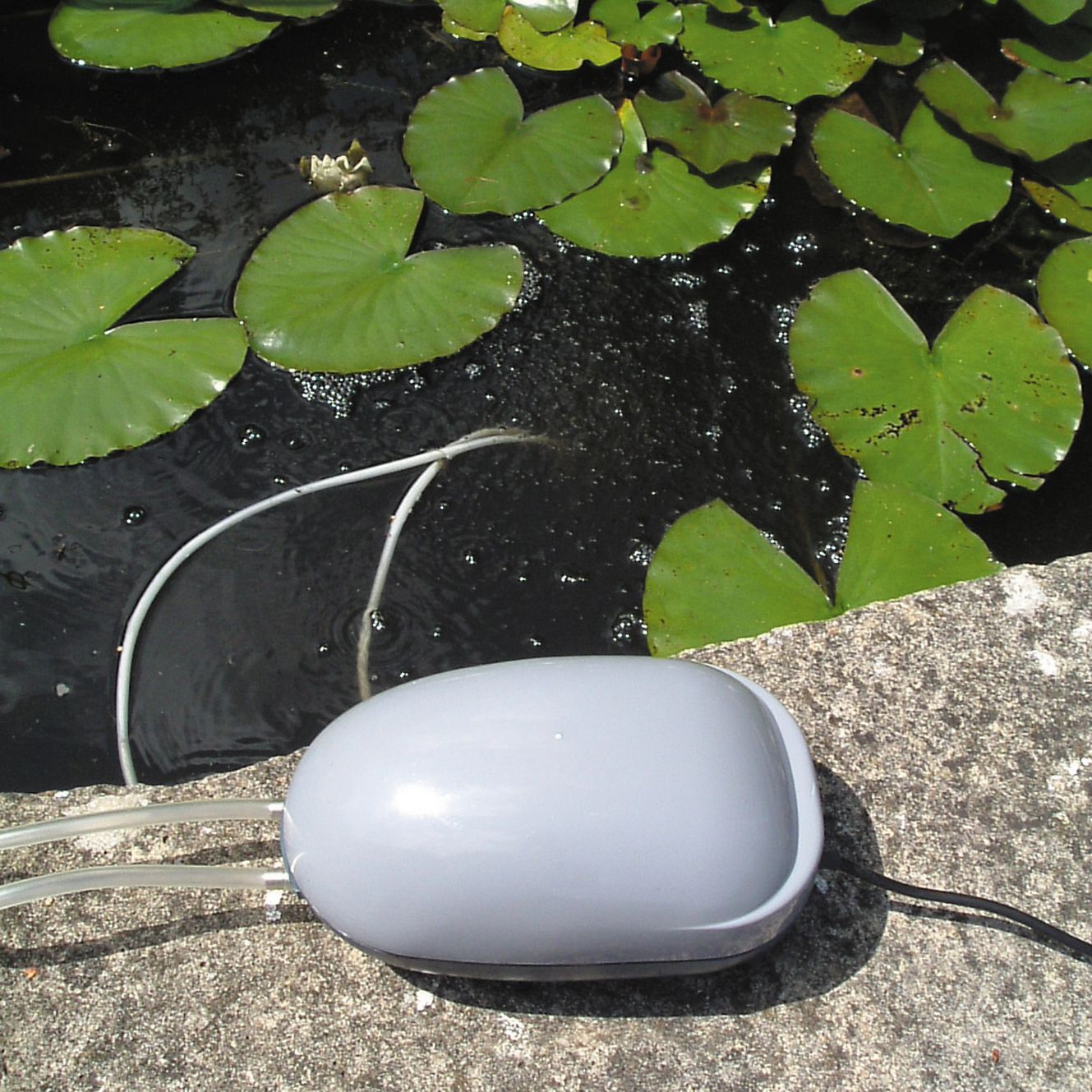 Smart Solar pond pump, 6V