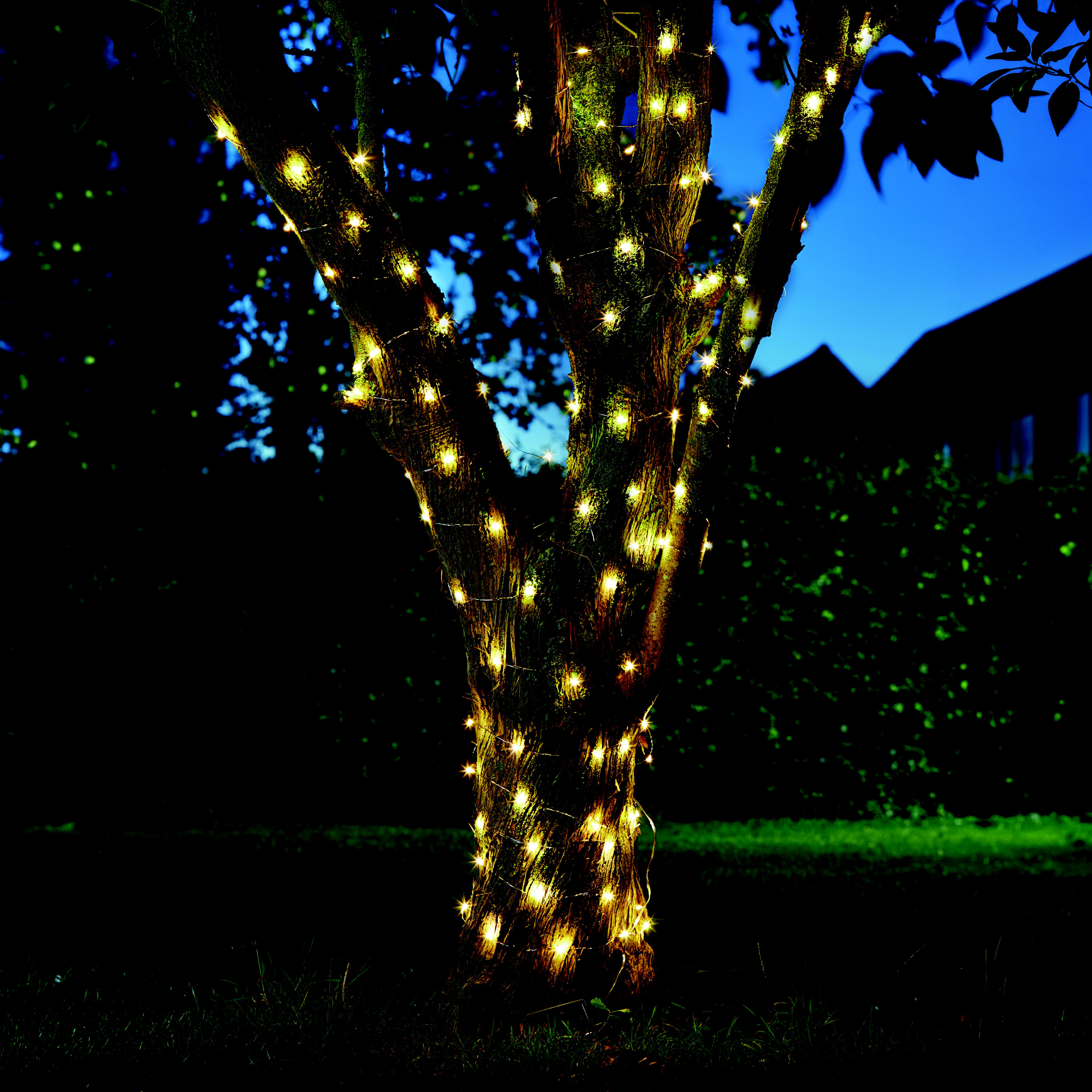 Solar String Lights Firefly Battery-powered Warm white 100 Integrated LED Outdoor String lights