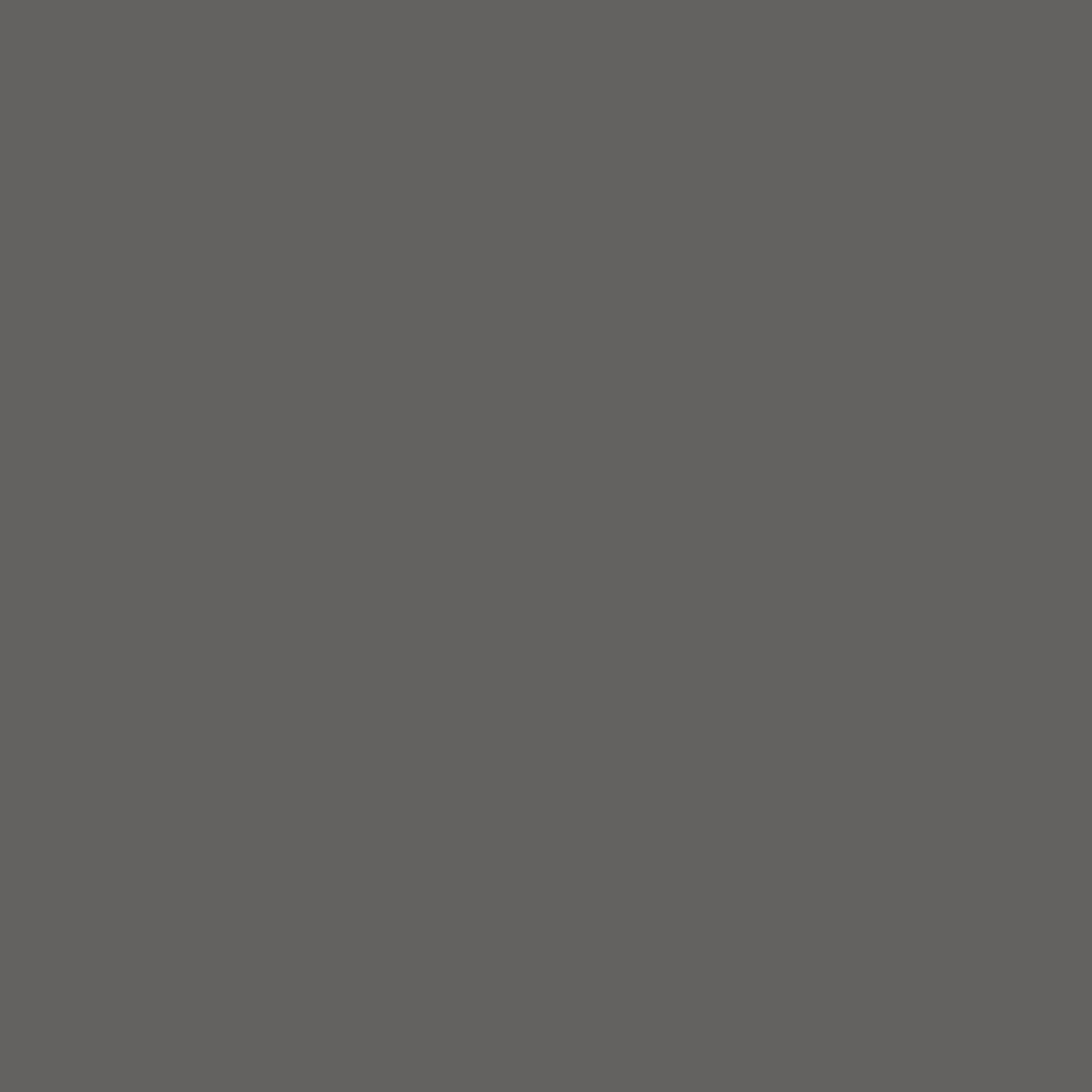 Spacepro Sliding Wardrobes Accessories Dark grey Wardrobe End panel (L)2800mm (W)620mm