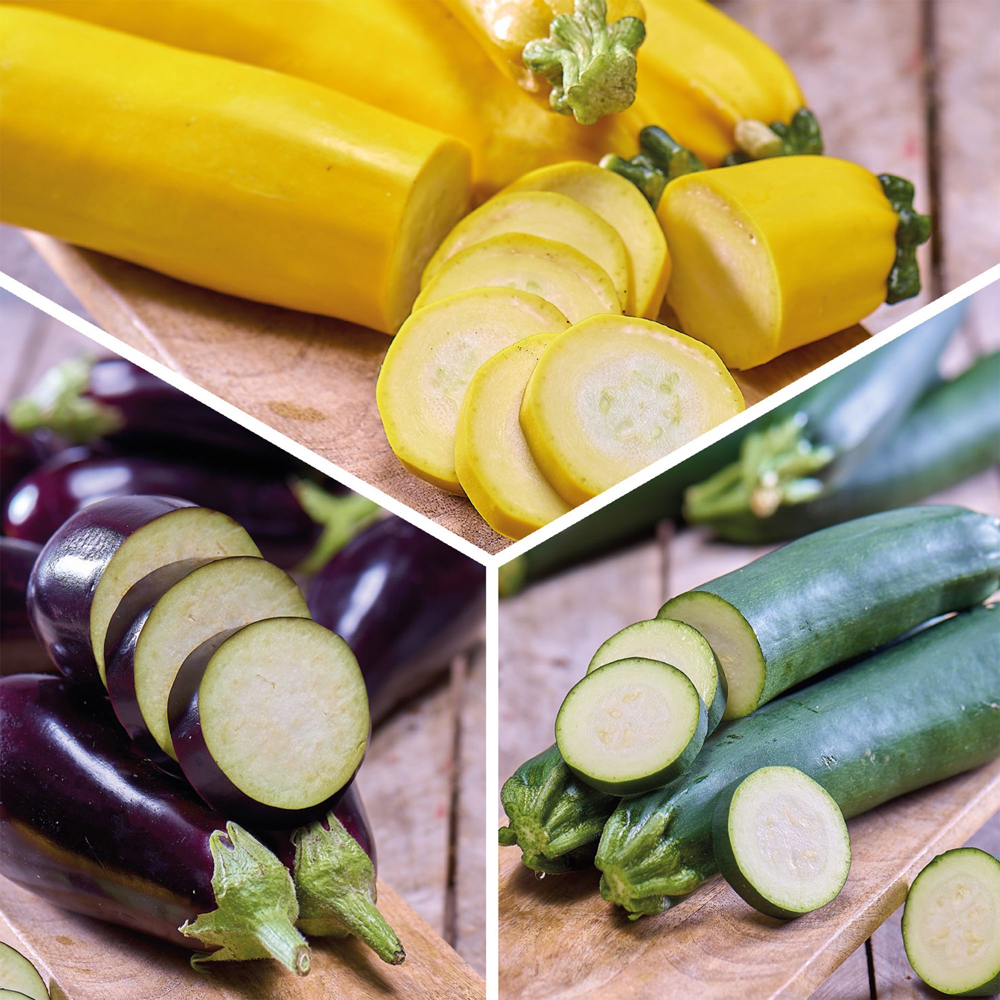 STARTER KIT AUBERGINE AND COURGETTES