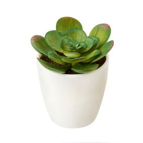 Succulent+A12:AX12 Artificial plant in White Ceramic Pot