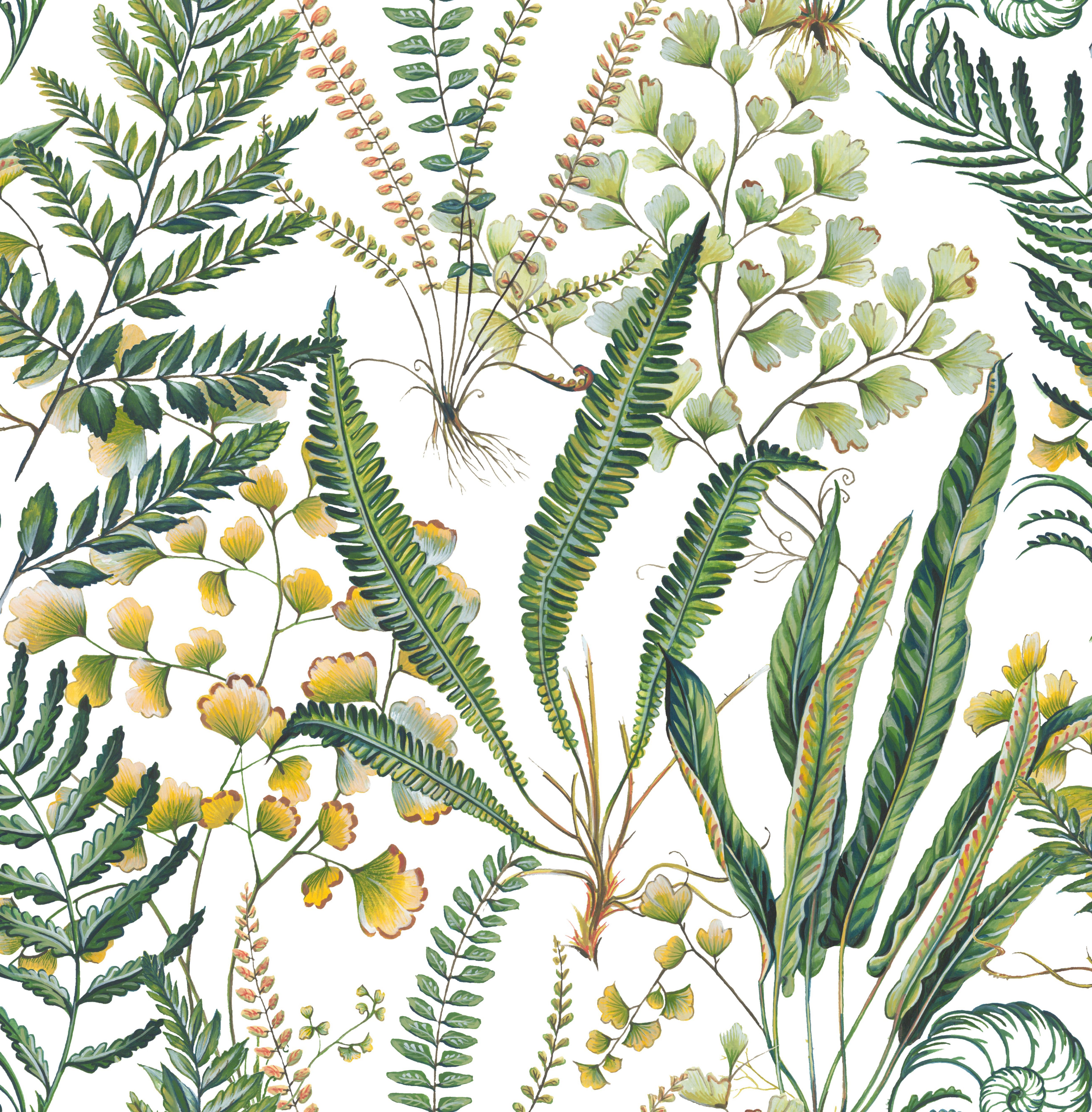 Superfresco Easy Fernery Green Leaves Smooth Wallpaper