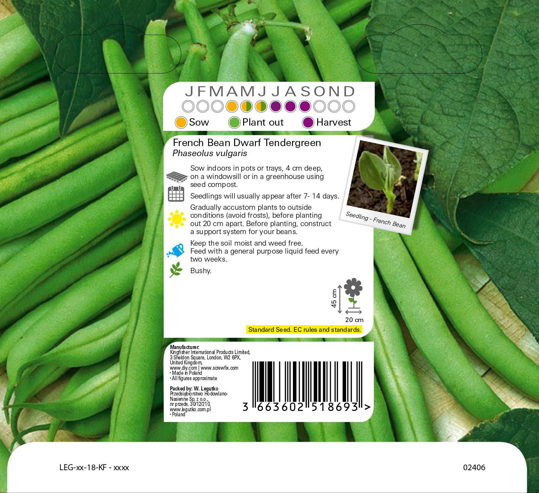 Tendergreen french bean French bean Seed