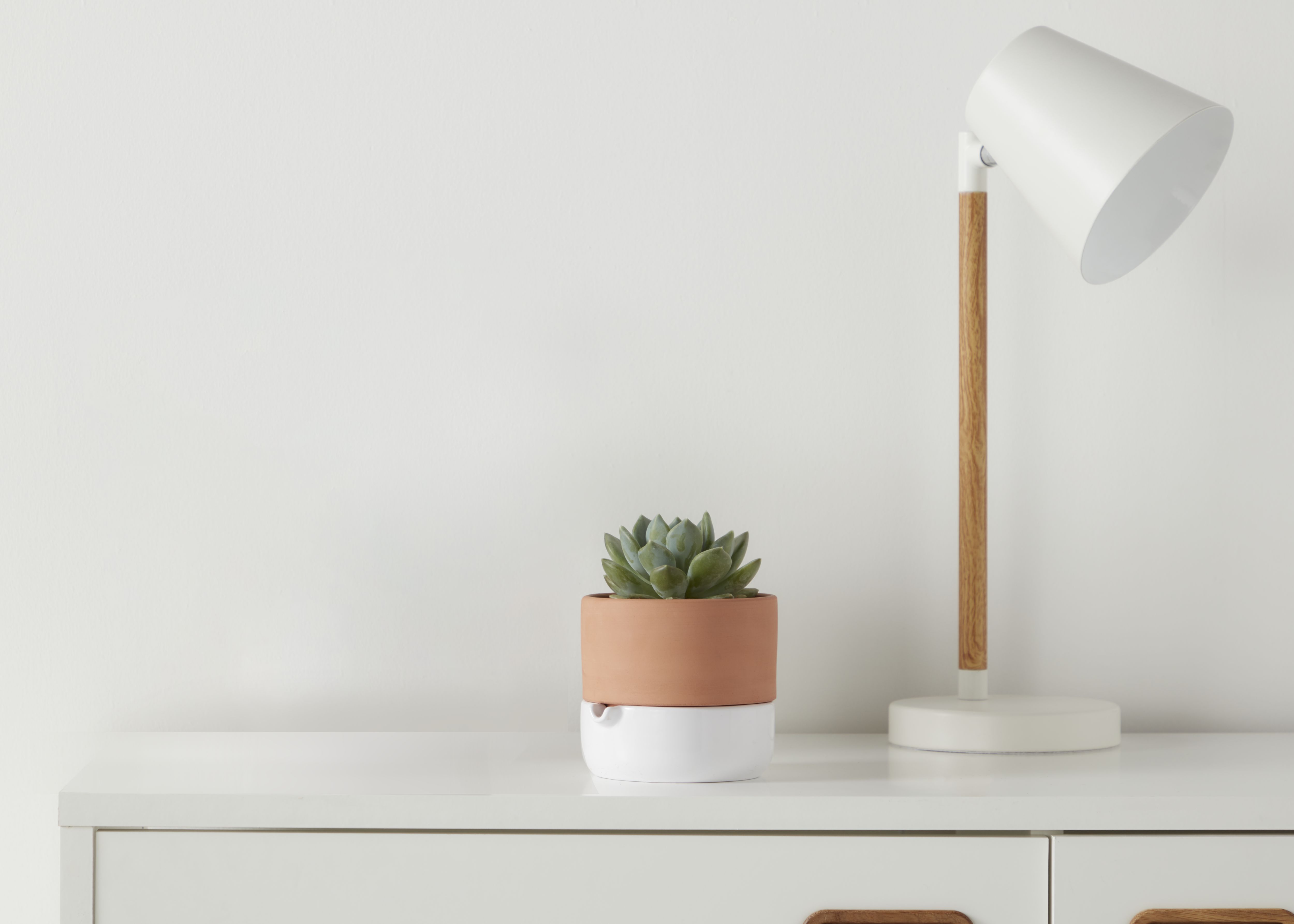 Terracotta & white Terracotta Circular Plant pot (Dia)16.1cm