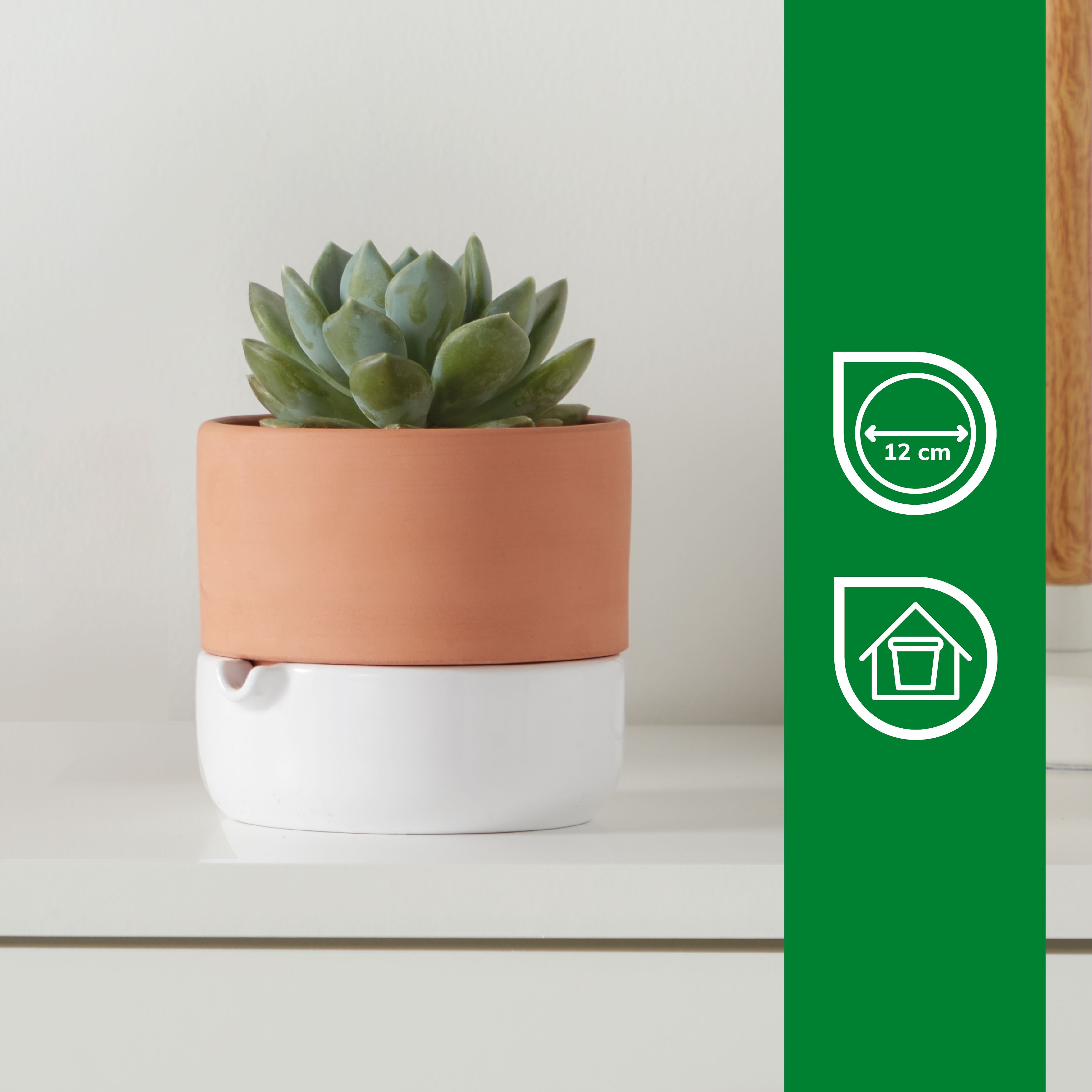 Terracotta & white Terracotta Circular Plant pot (Dia)16.1cm