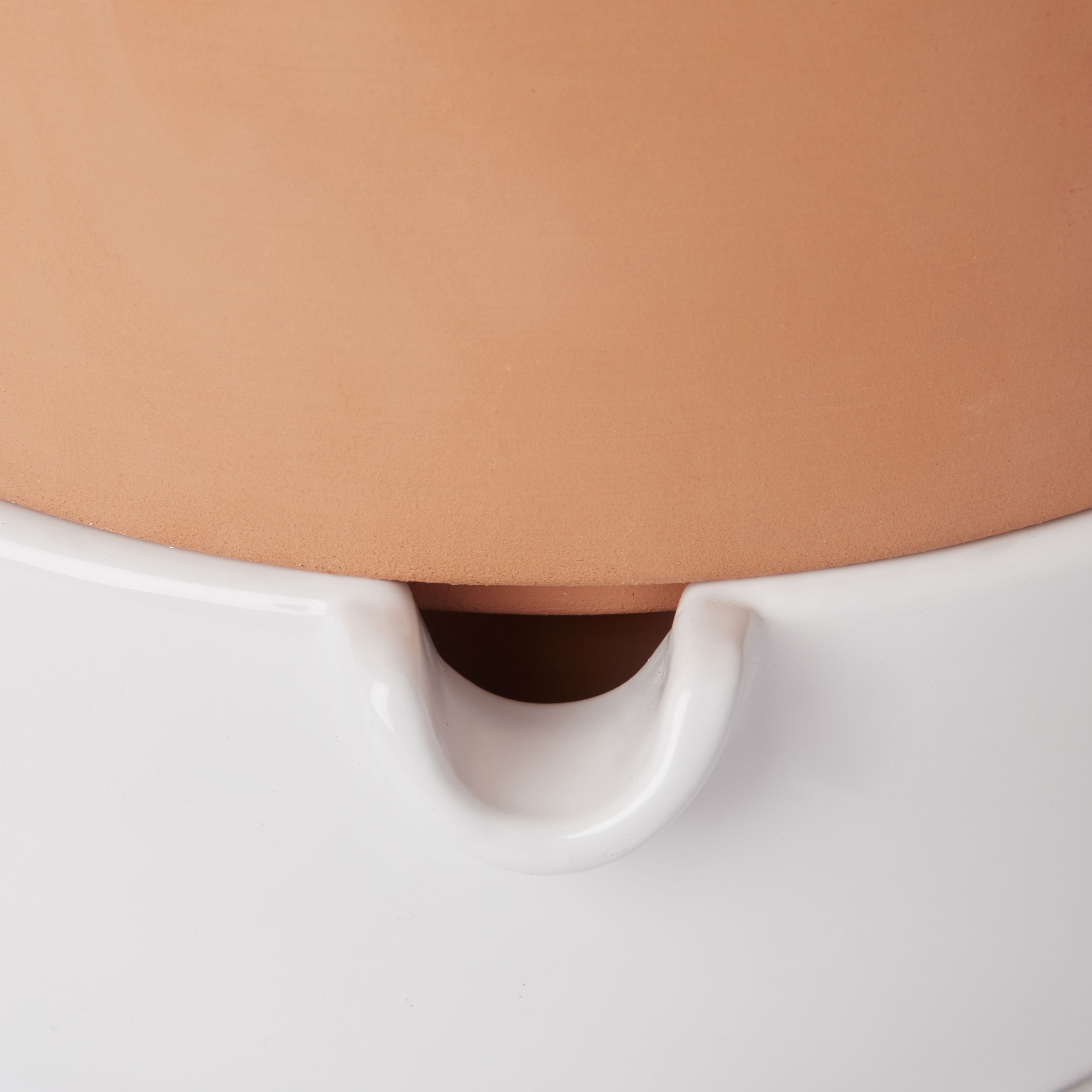 Terracotta & white Terracotta Circular Plant pot (Dia)22.8cm