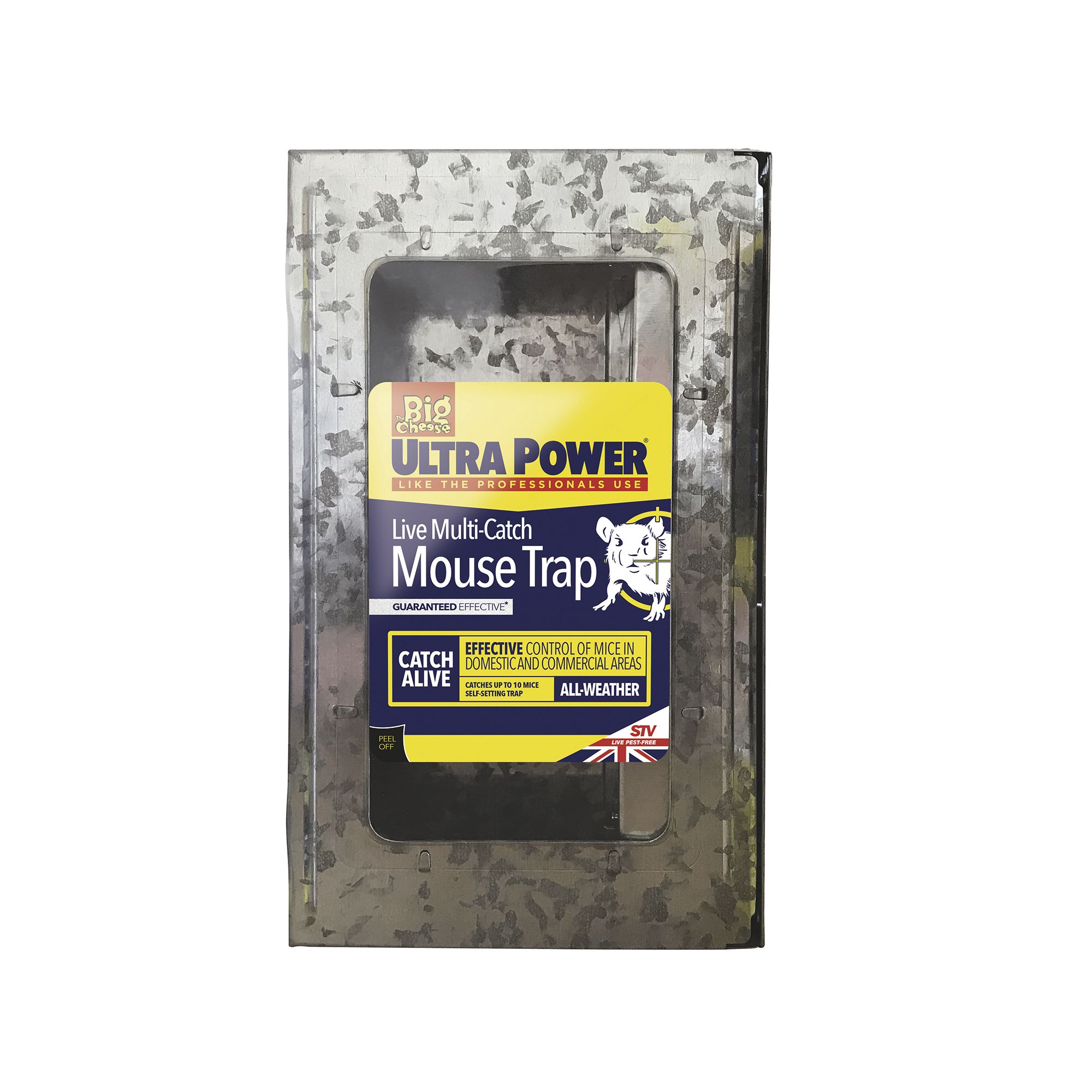 The Big Cheese Mouse trap