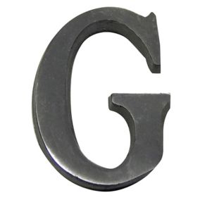 The House Nameplate Company Brushed Silver effect Aluminium Self-adhesive House letter G, (H)40mm (W)25mm