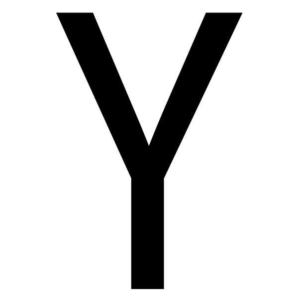The House Nameplate Company Gloss Black uPVC Self-adhesive House letter Y, (H)60mm (W)40mm