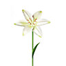 The Outdoor Living Company White Lily Garden stake (L)640mm