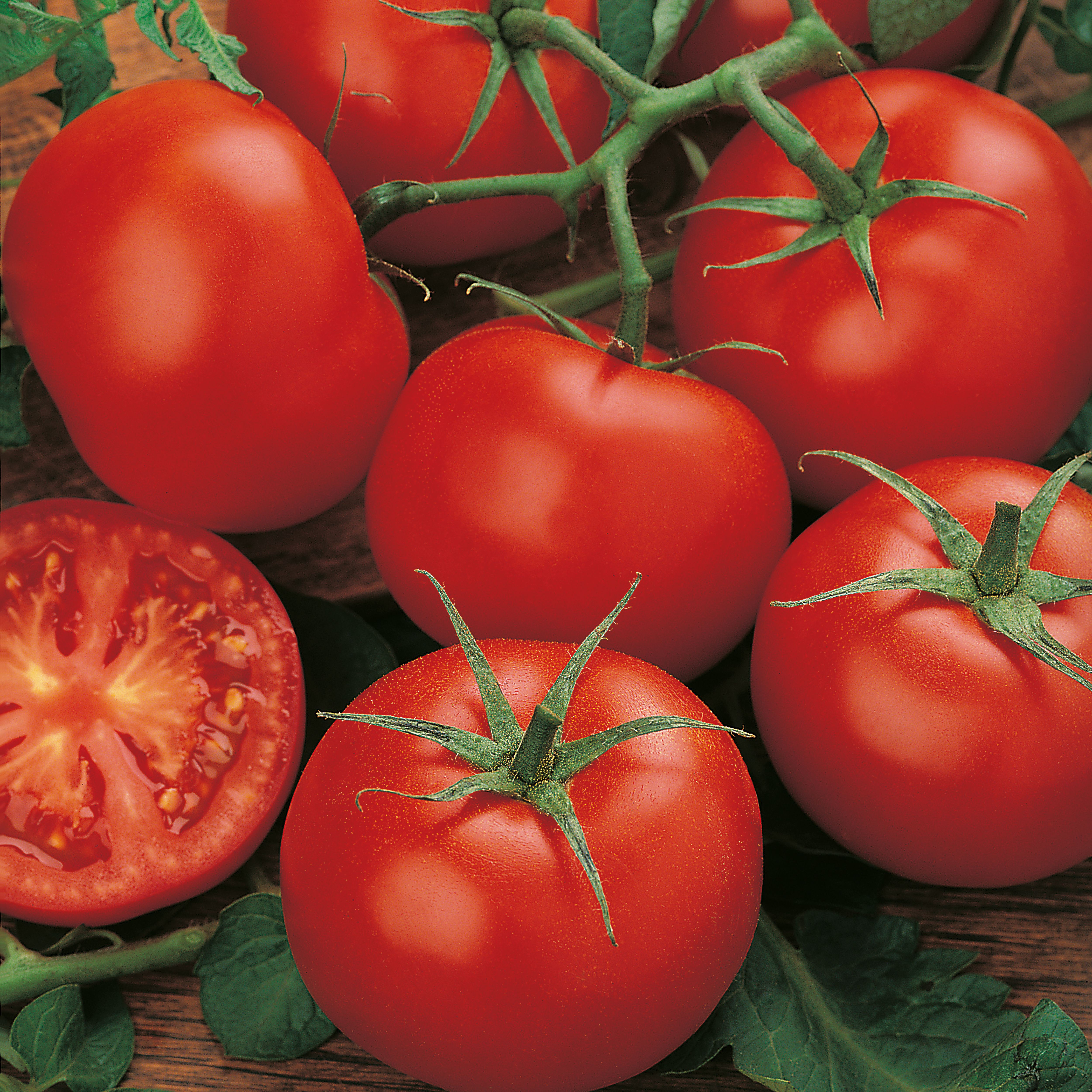 Tomato 'Moneymaker' Vegetable Seeds