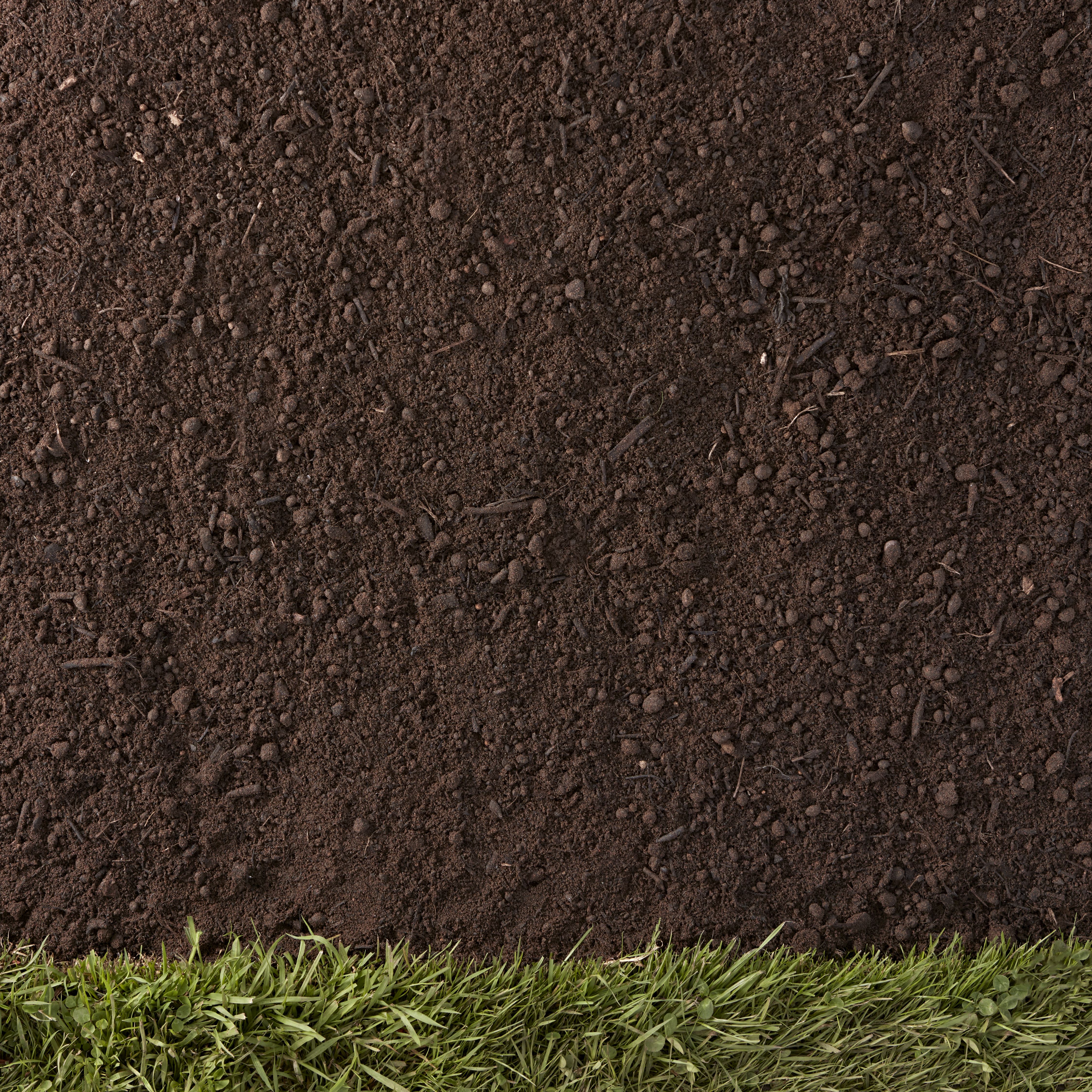 TOP SOIL 25L
