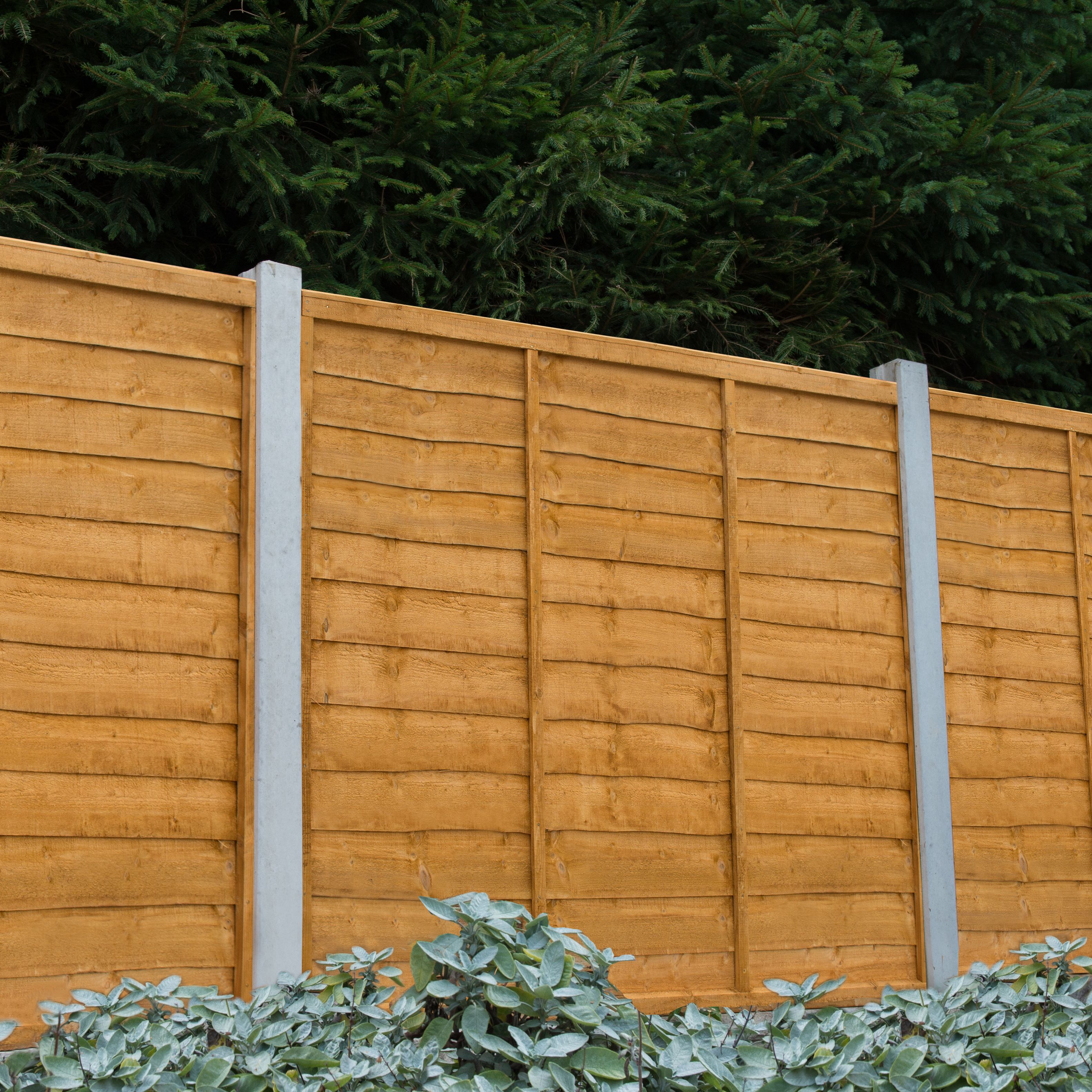 Traditional Lap 5ft Wooden Fence panel (W)1.83m (H)1.52m