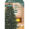 Treebrights 2000 White LED String lights with Green cable