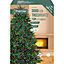 Treebrights 3000 Multicolour LED String lights with Green cable