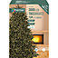 Treebrights 3000 Warm white LED String lights with Green cable