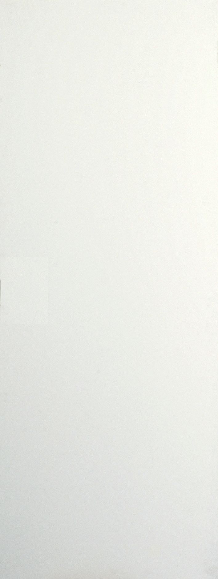 Unglazed Flush White Internal Door, (H)1981mm (W)686mm (T)35mm