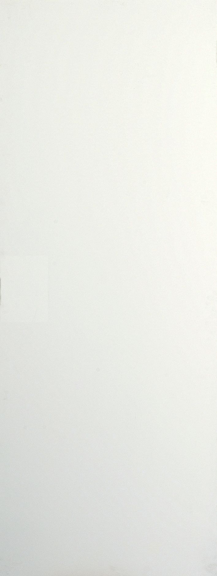 Unglazed Flush White Internal Door, (H)1981mm (W)686mm (T)35mm