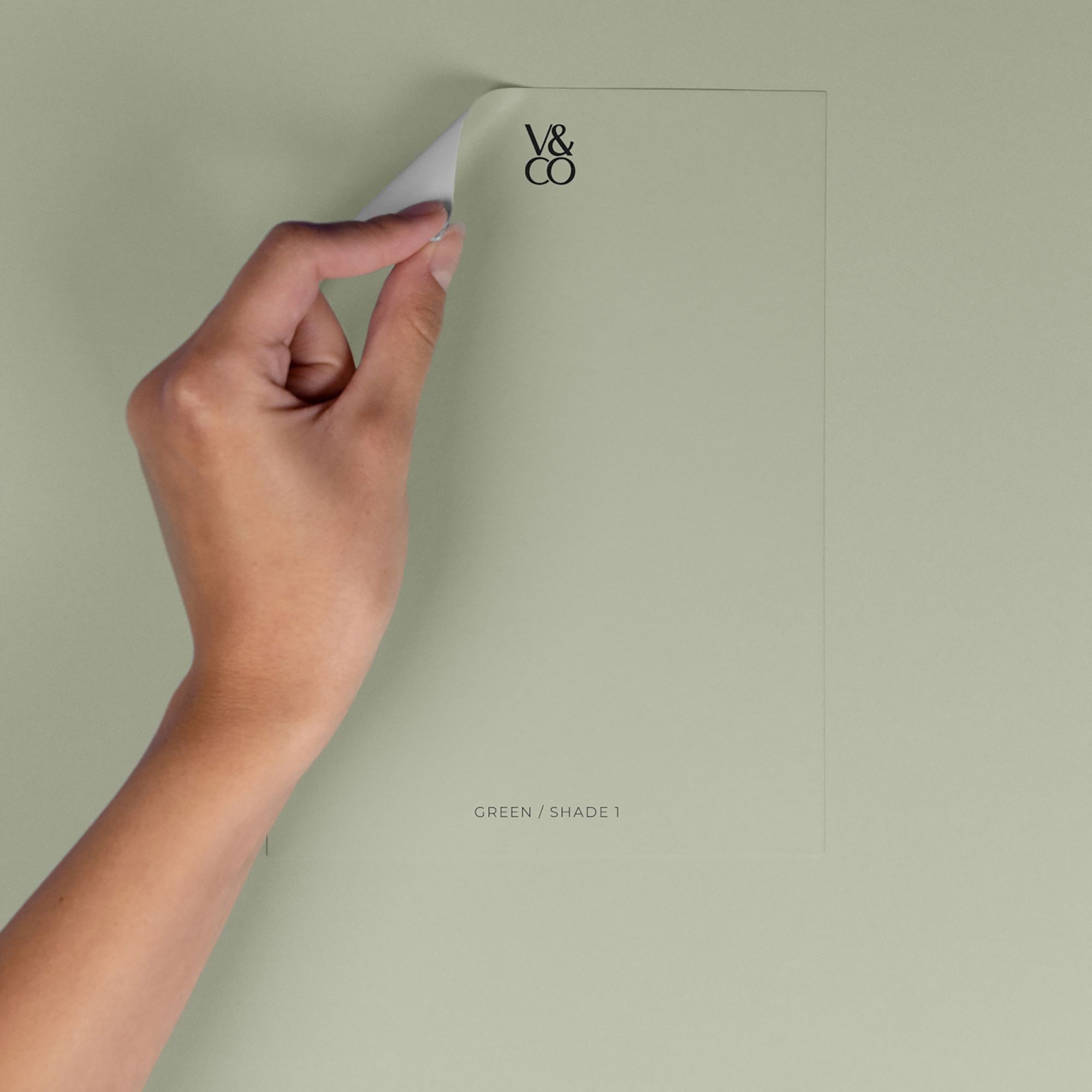 V&CO Green Shade 1 Peel & stick Tester