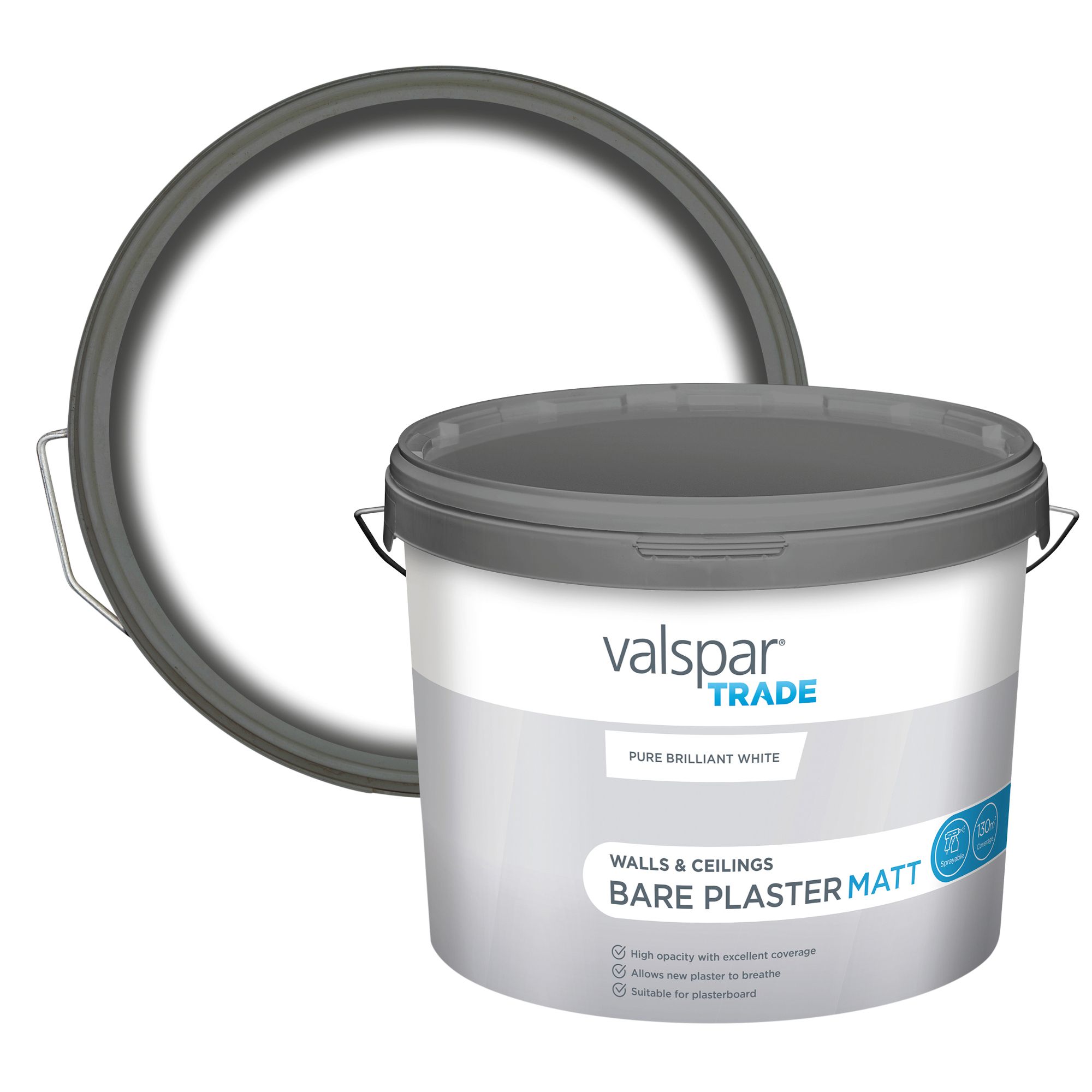 Valspar Trade Bare plaster paint Pure Brilliant White Matt Bare plaster