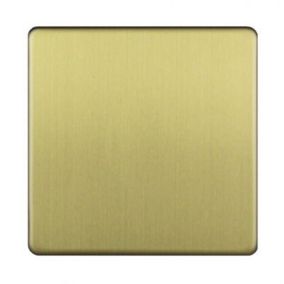 Varilight Brass Single Blanking plate