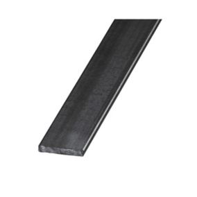 Varnished Hot-rolled steel Flat Bar, (L)1000mm (W)40mm (T)8mm