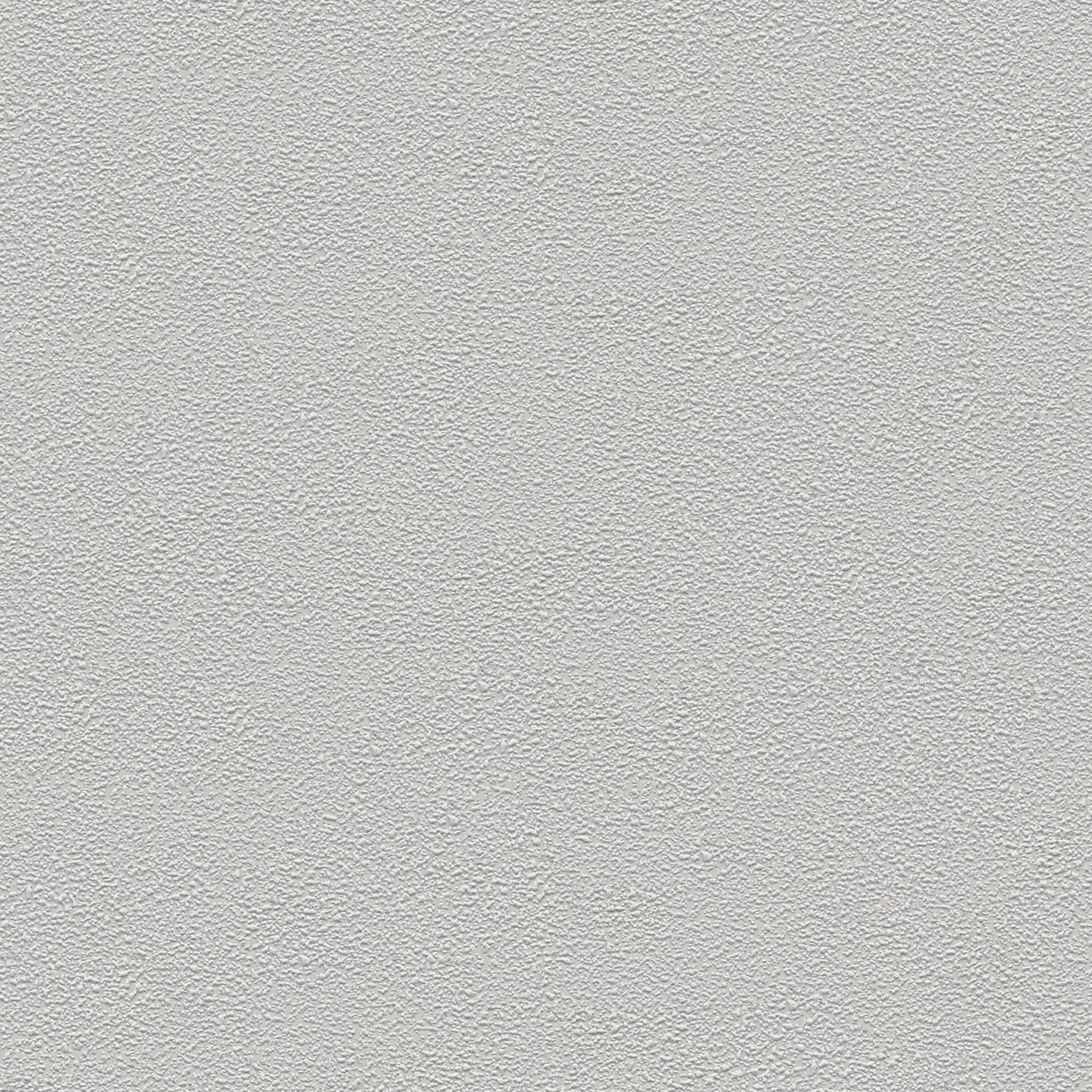Vauquois Light grey Plaster effect Textured Wallpaper