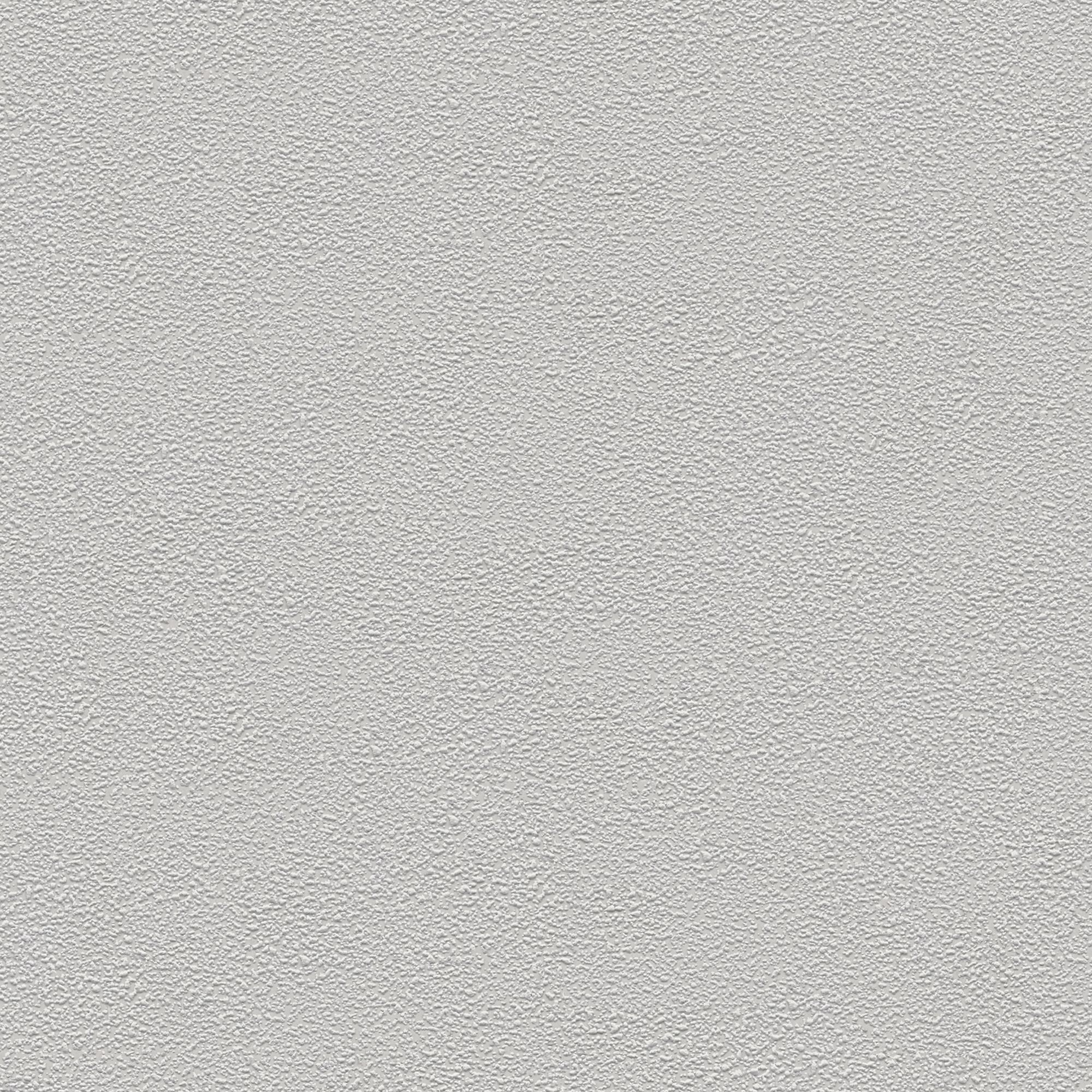 Vauquois Light grey Plaster effect Textured Wallpaper
