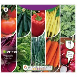Vegetable collection Seed