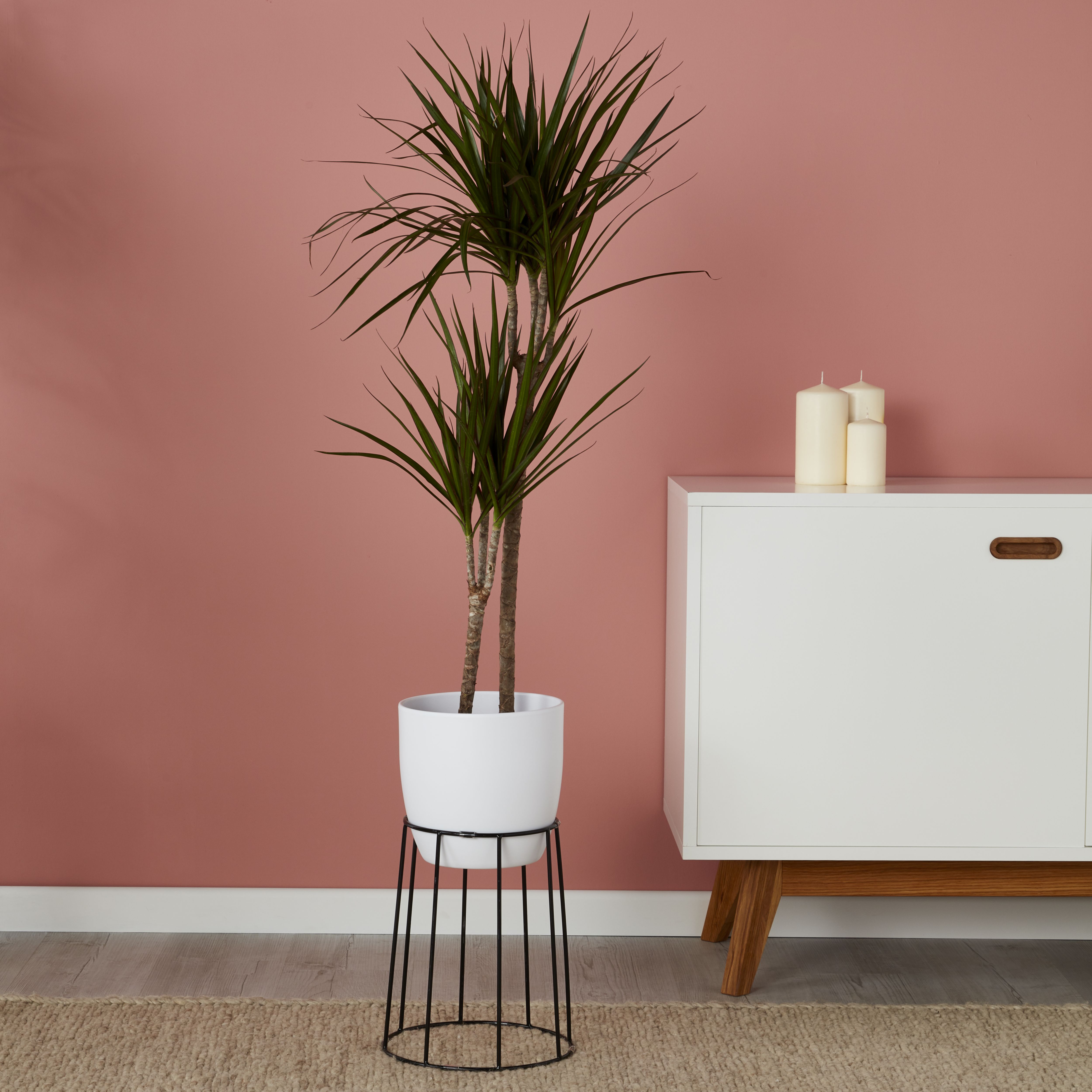 Verve 24cm Metal Pot stand