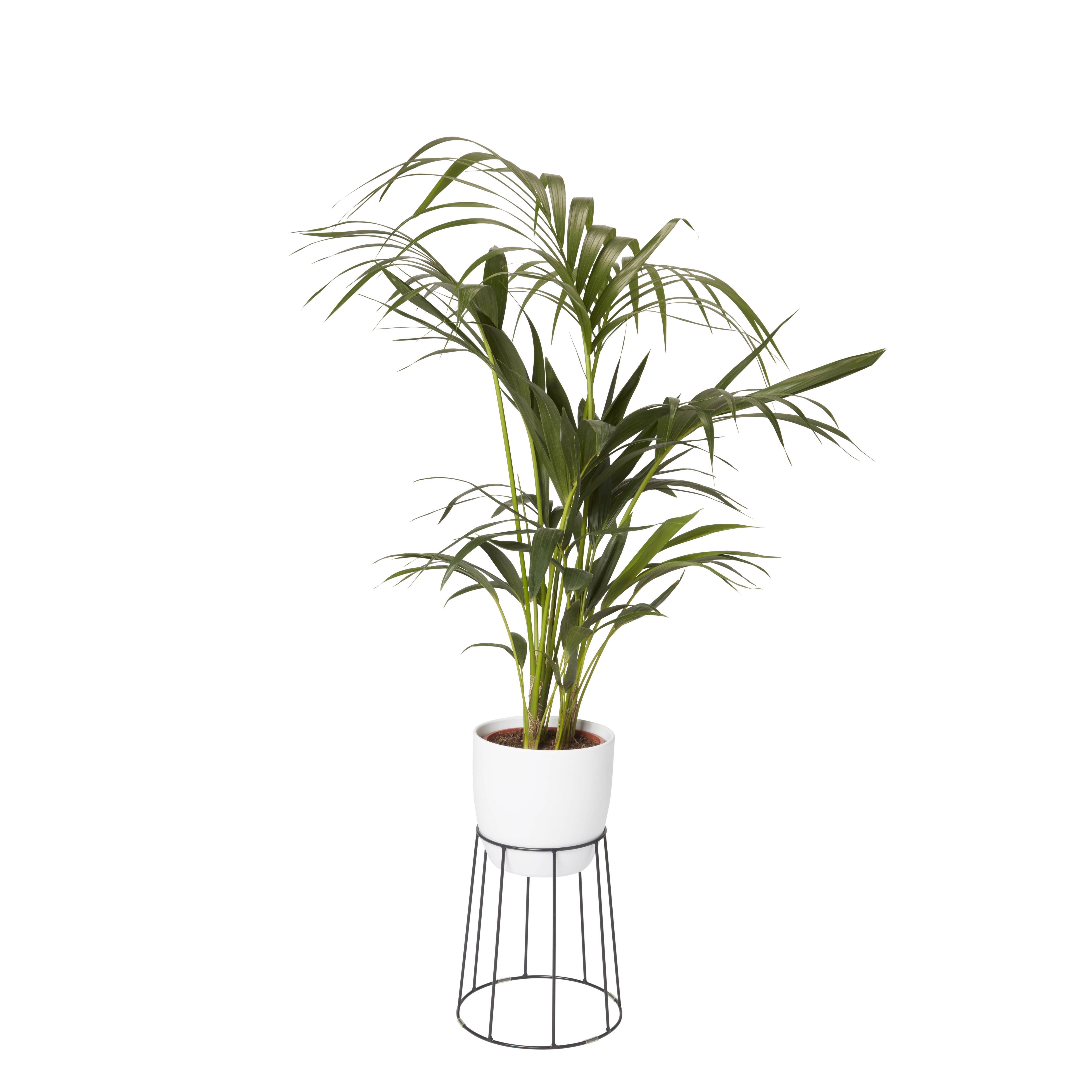 Verve 24cm Metal Pot stand