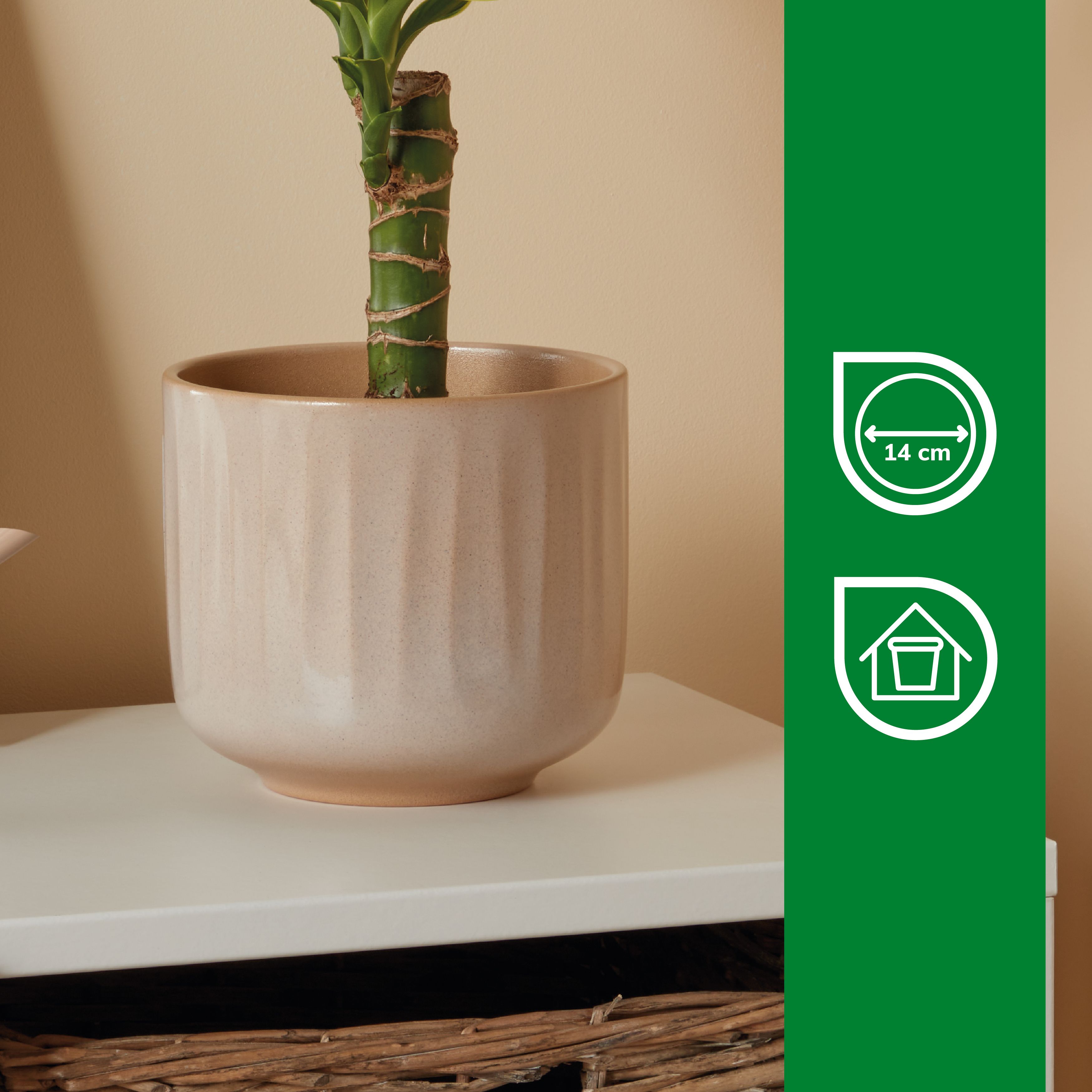 Verve Bagua Cream Ceramic Plant pot (Dia) 16cm, (H)14cm