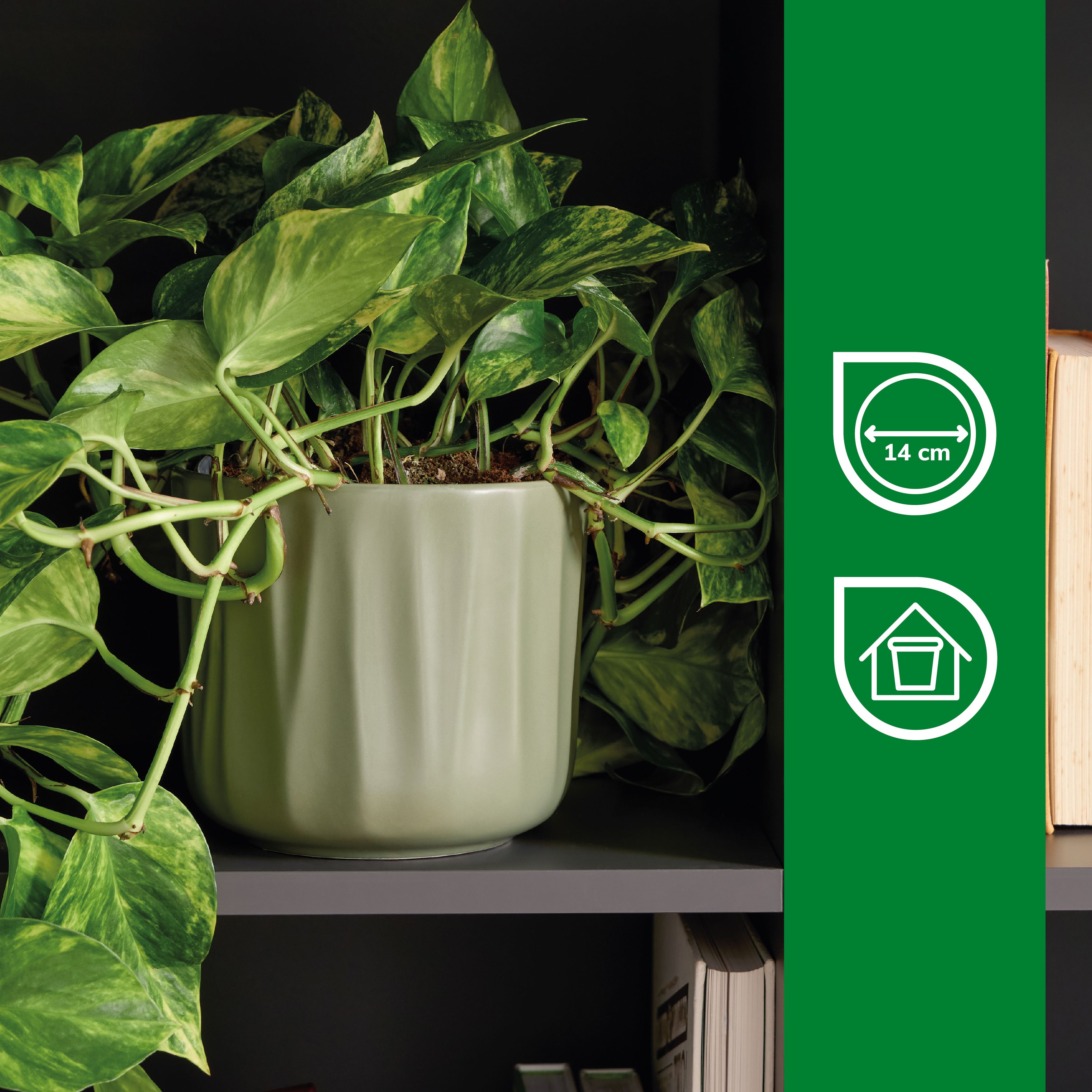 Verve Bagua Green Ceramic Plant pot (Dia) 16cm, (H)14cm