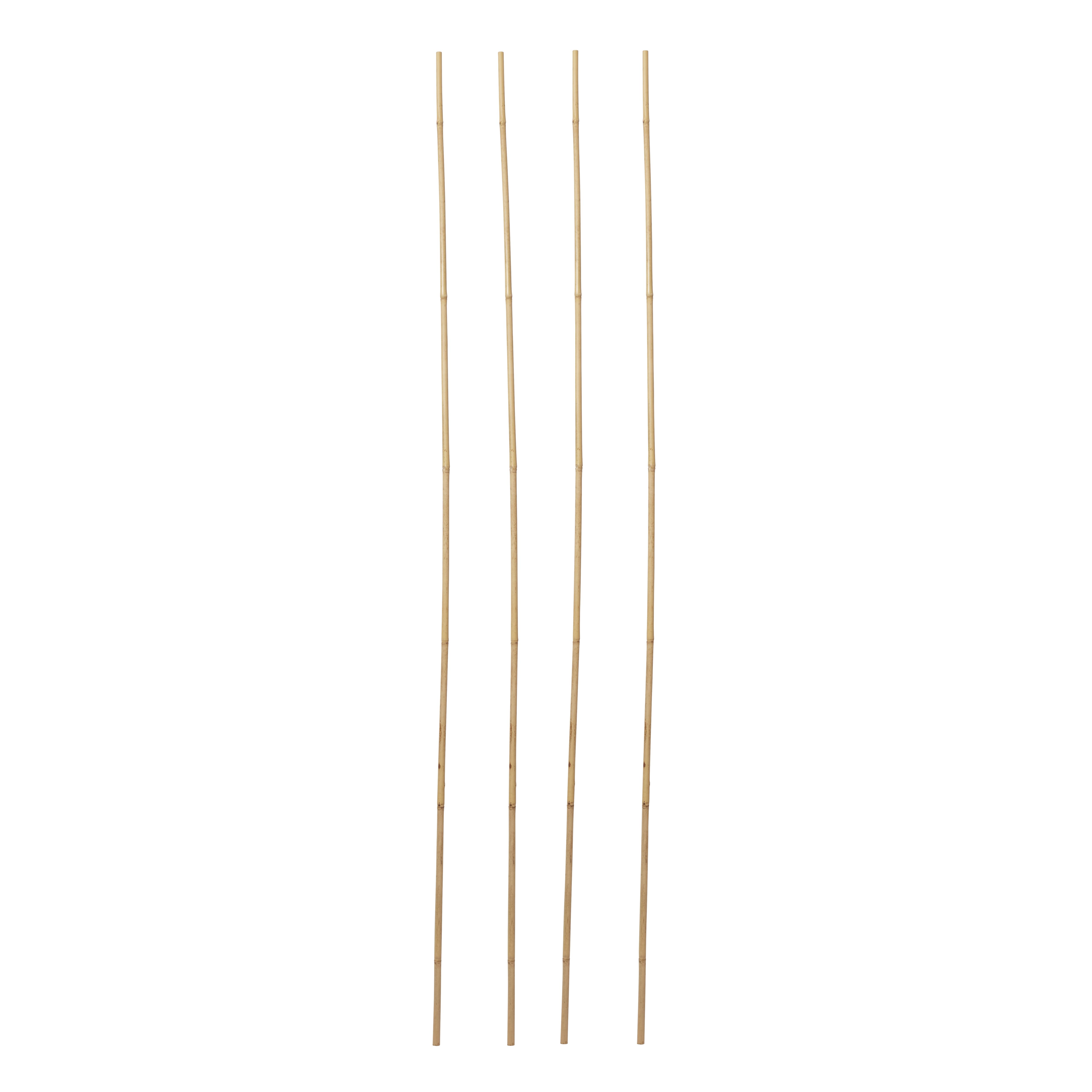 Verve Bamboo Cane 240cm, Pack of 10