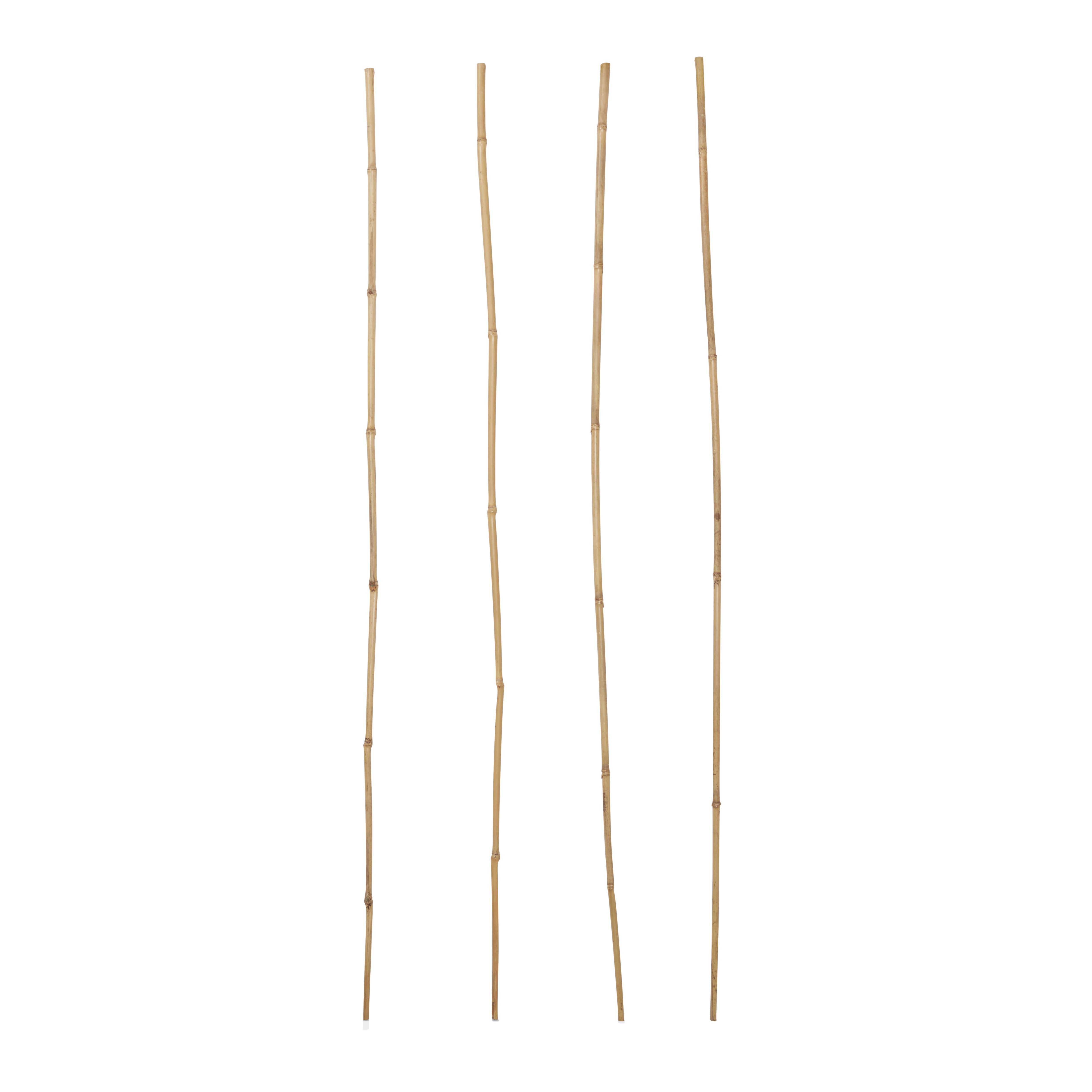 Verve Bamboo Cane 90cm, Pack of 15