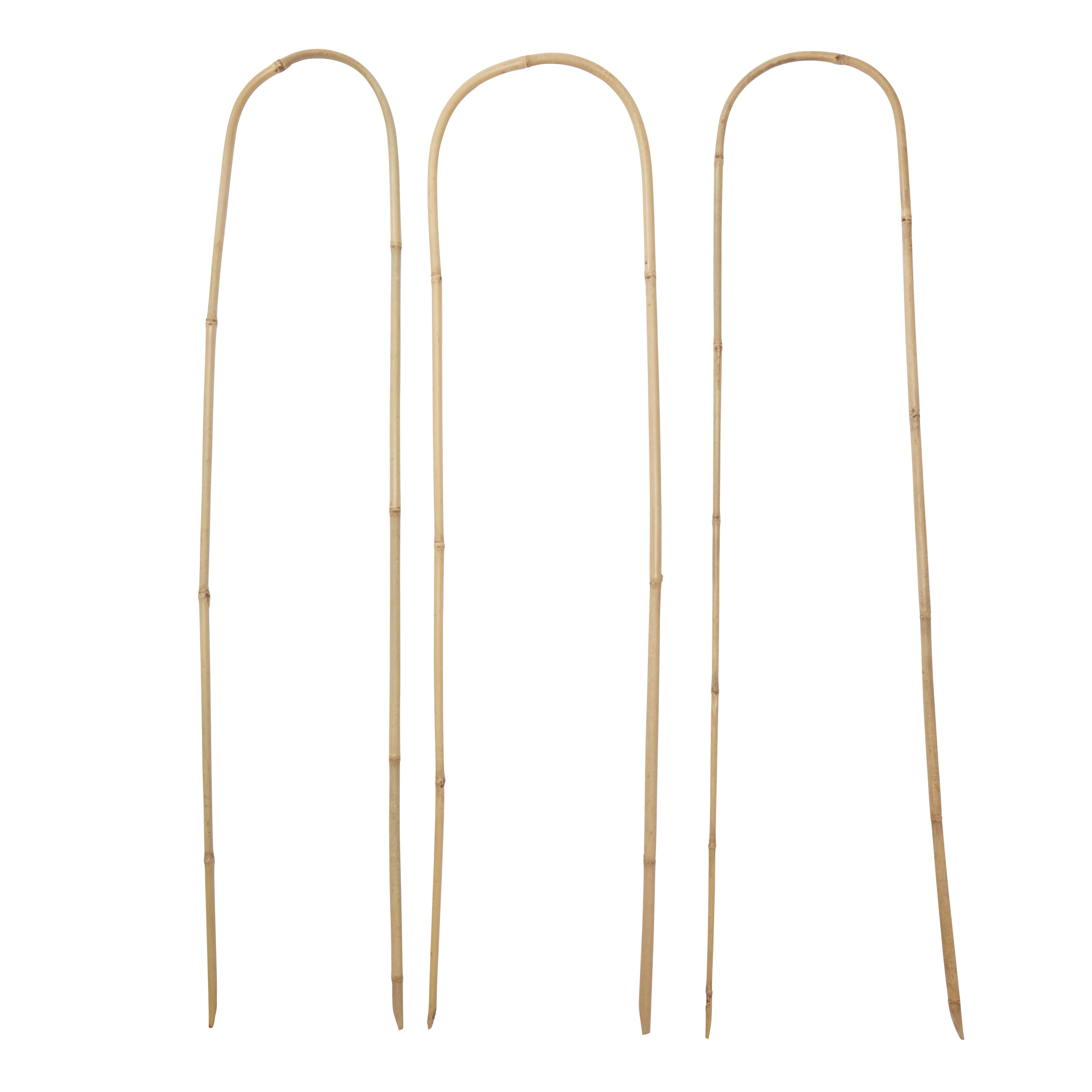 Verve Bamboo Hoop Plant support (L)120cm, Pack of 3