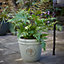 Verve Barcău Olive Ceramic Conical Plant pot (Dia)20cm