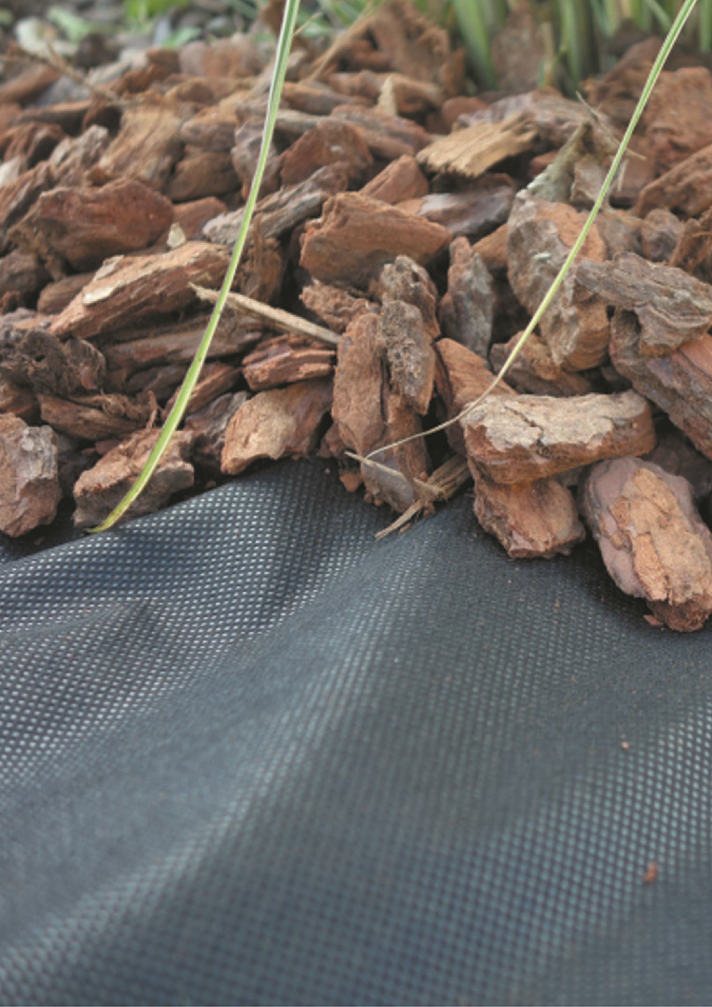 Verve Beds & borders Landscaping fabric (W)2m (L)50m