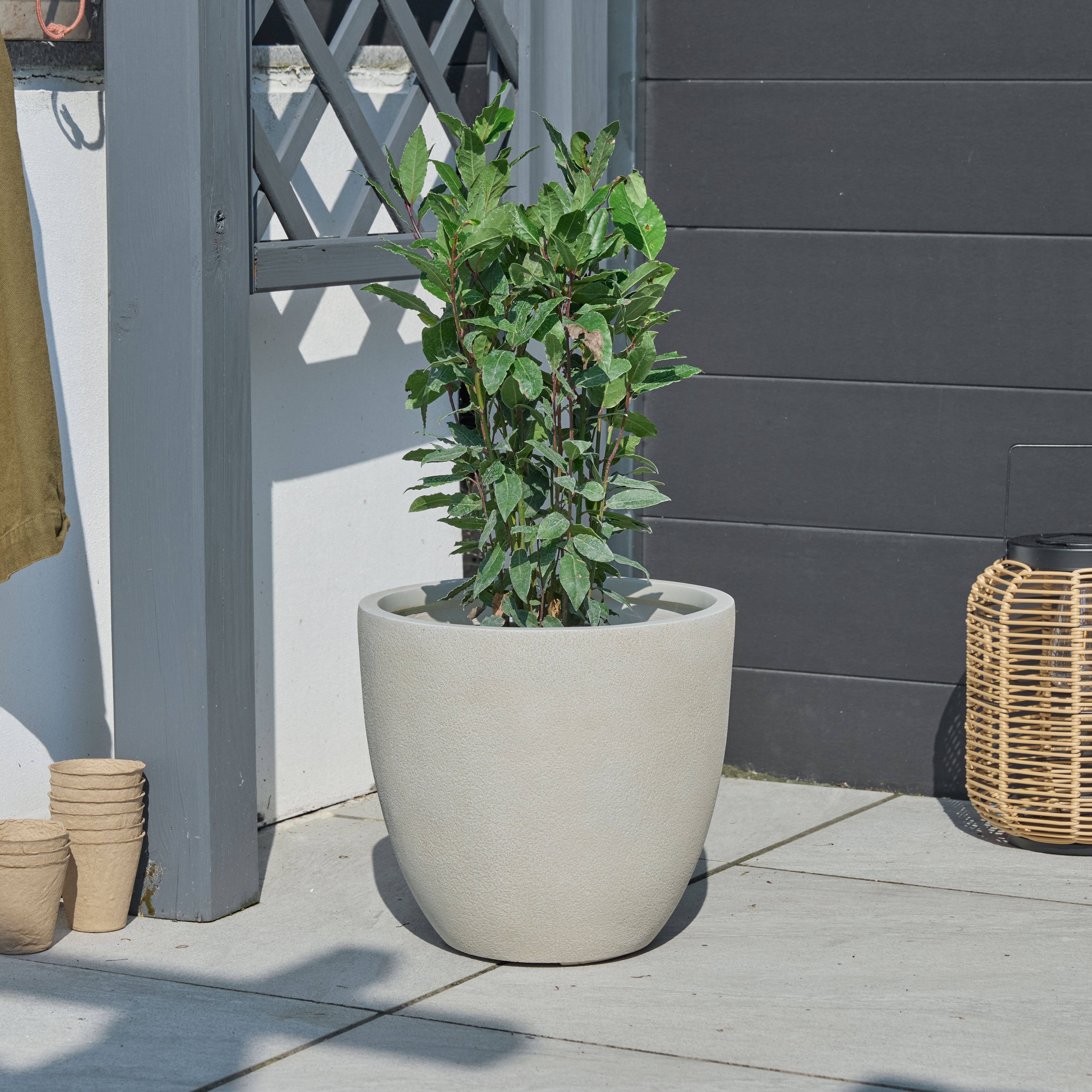 Verve Beige Fibreclay Plant pot (Dia) 30.5cm, (H)29cm