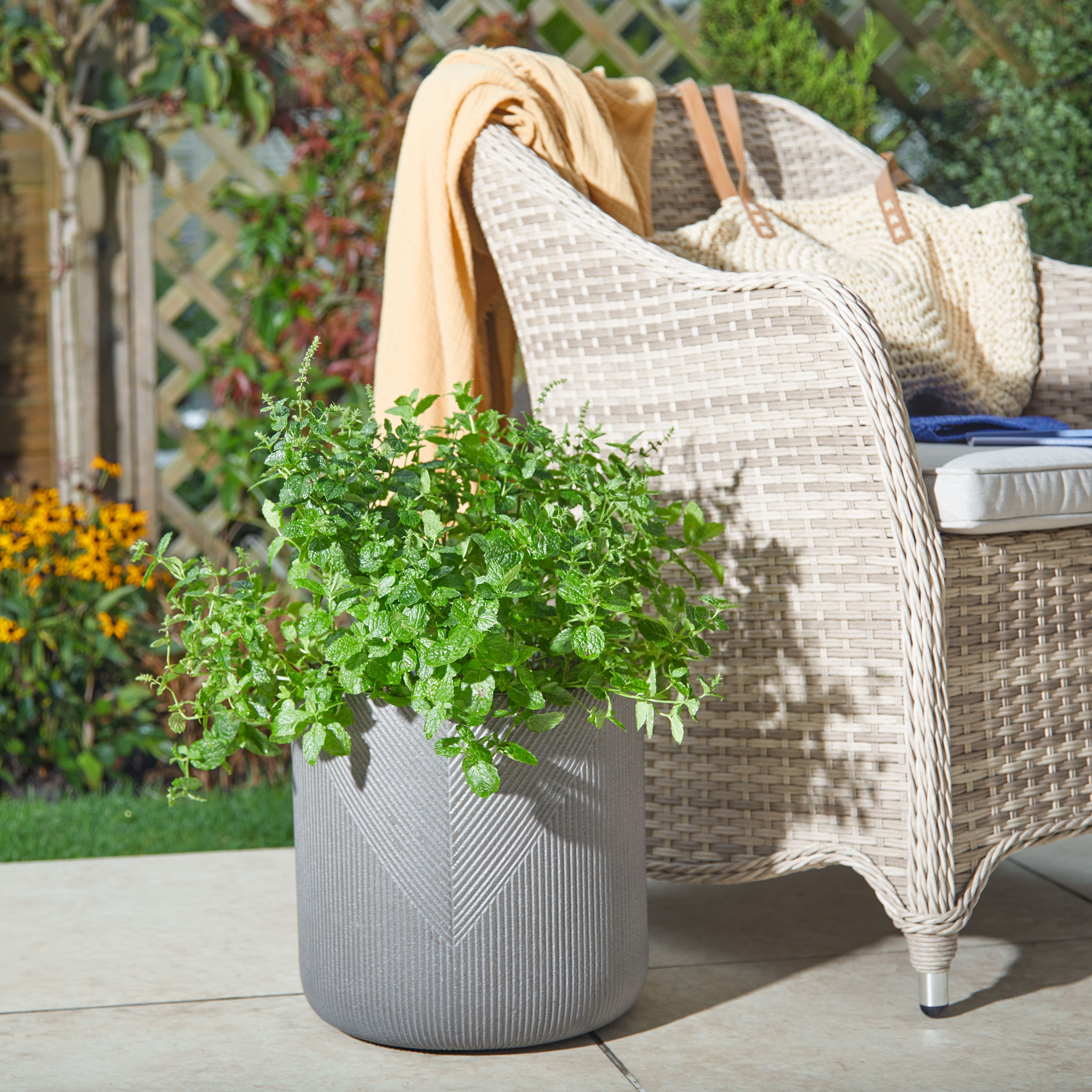 Verve Beige Grey Fibreclay Plant pot (Dia) 30cm, (H)30cm