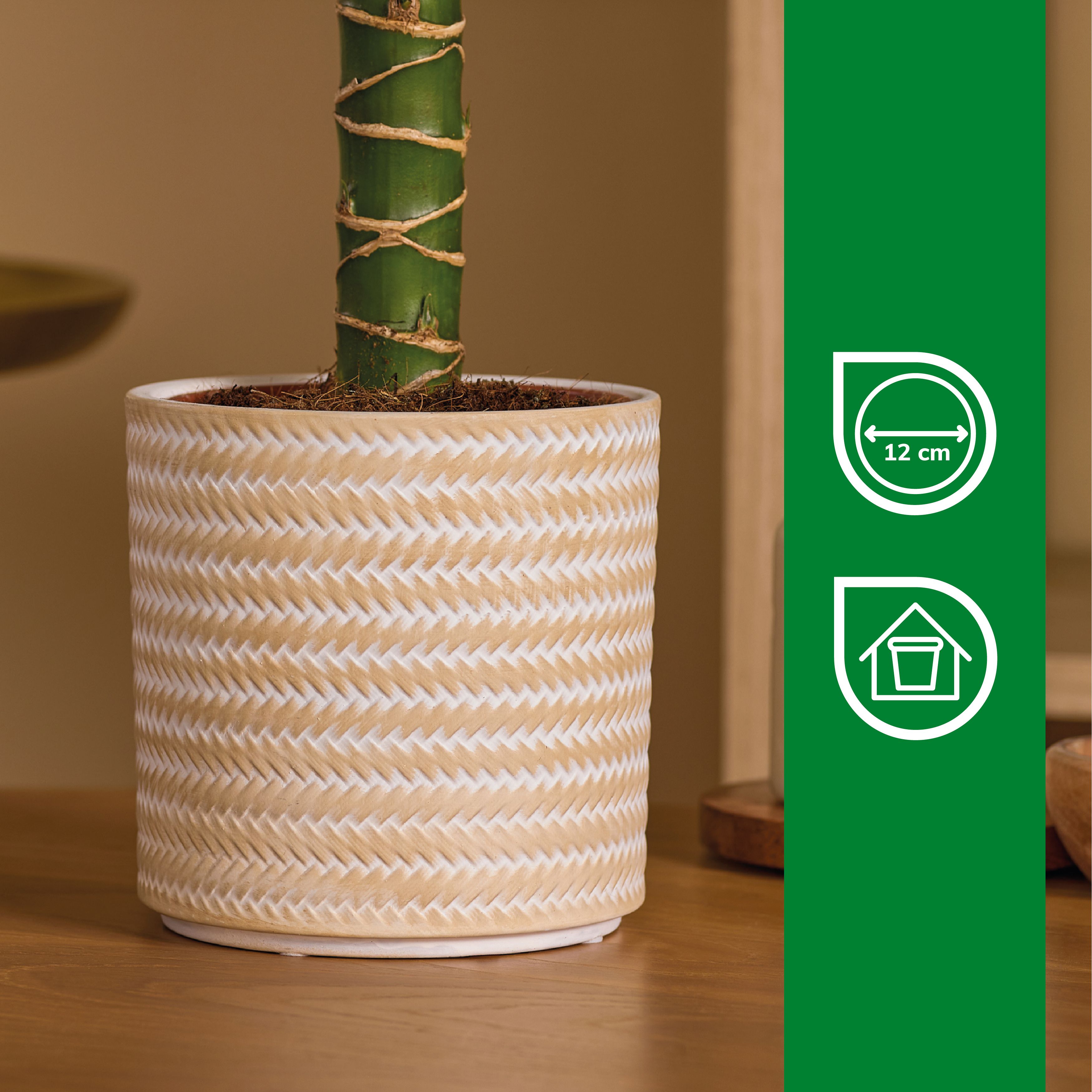 Verve Beige Rattan effect Terracotta Plant pot (Dia) 14.5cm, (H)14cm