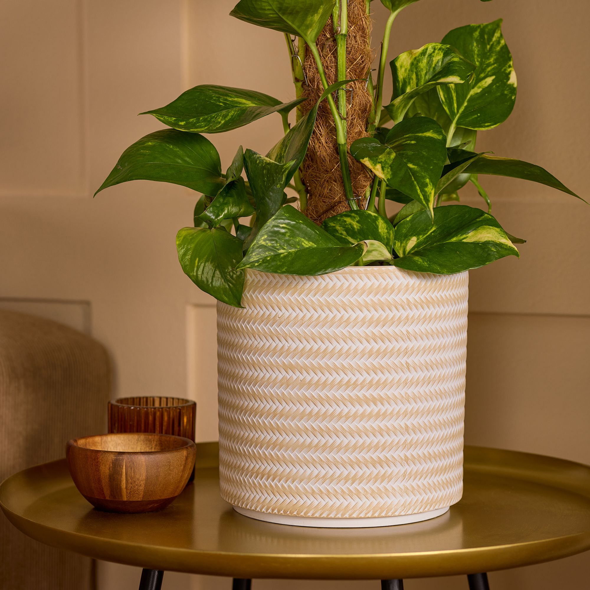 Verve Beige Rattan effect Terracotta Plant pot (Dia) 19cm, (H)19cm