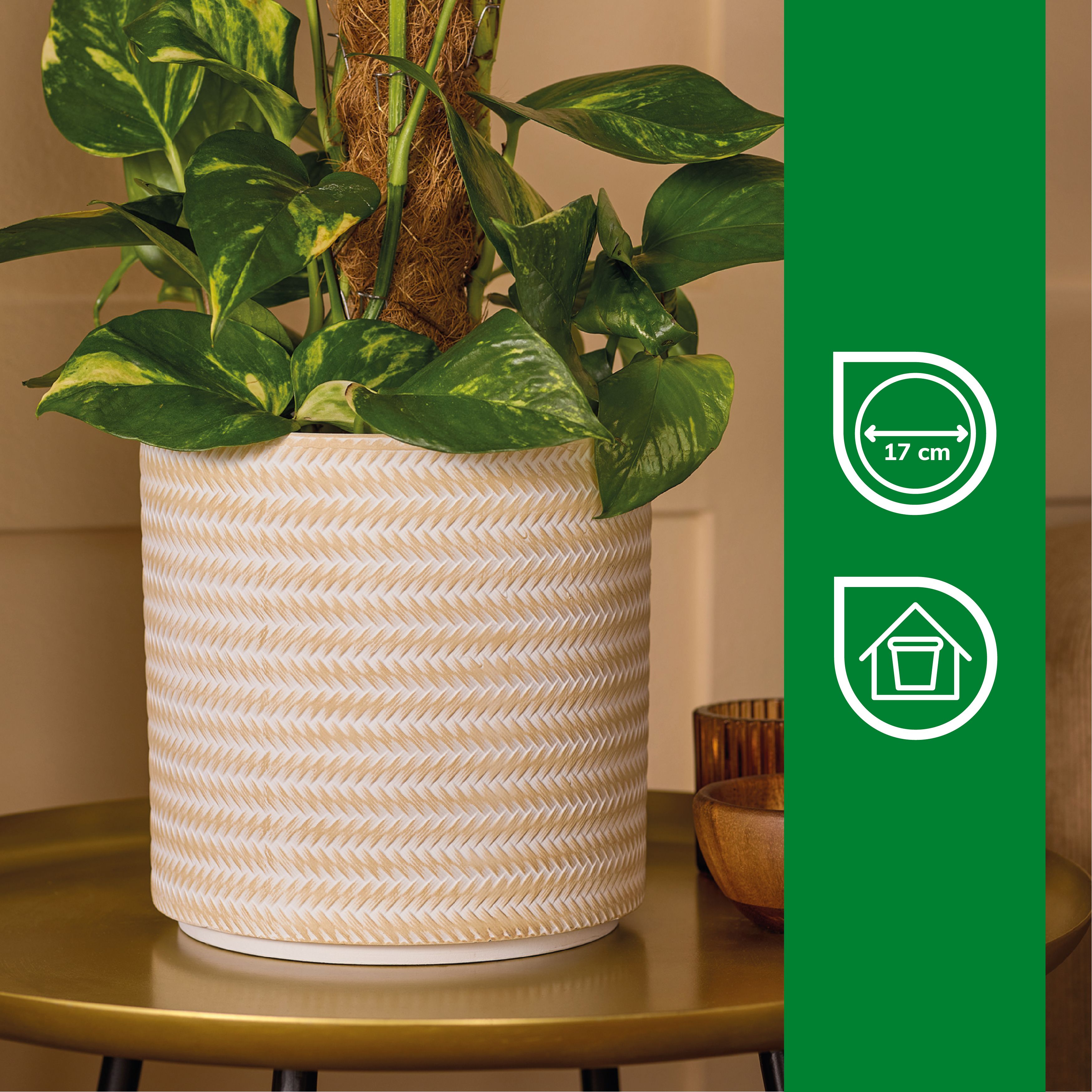 Verve Beige Rattan effect Terracotta Plant pot (Dia) 19cm, (H)19cm