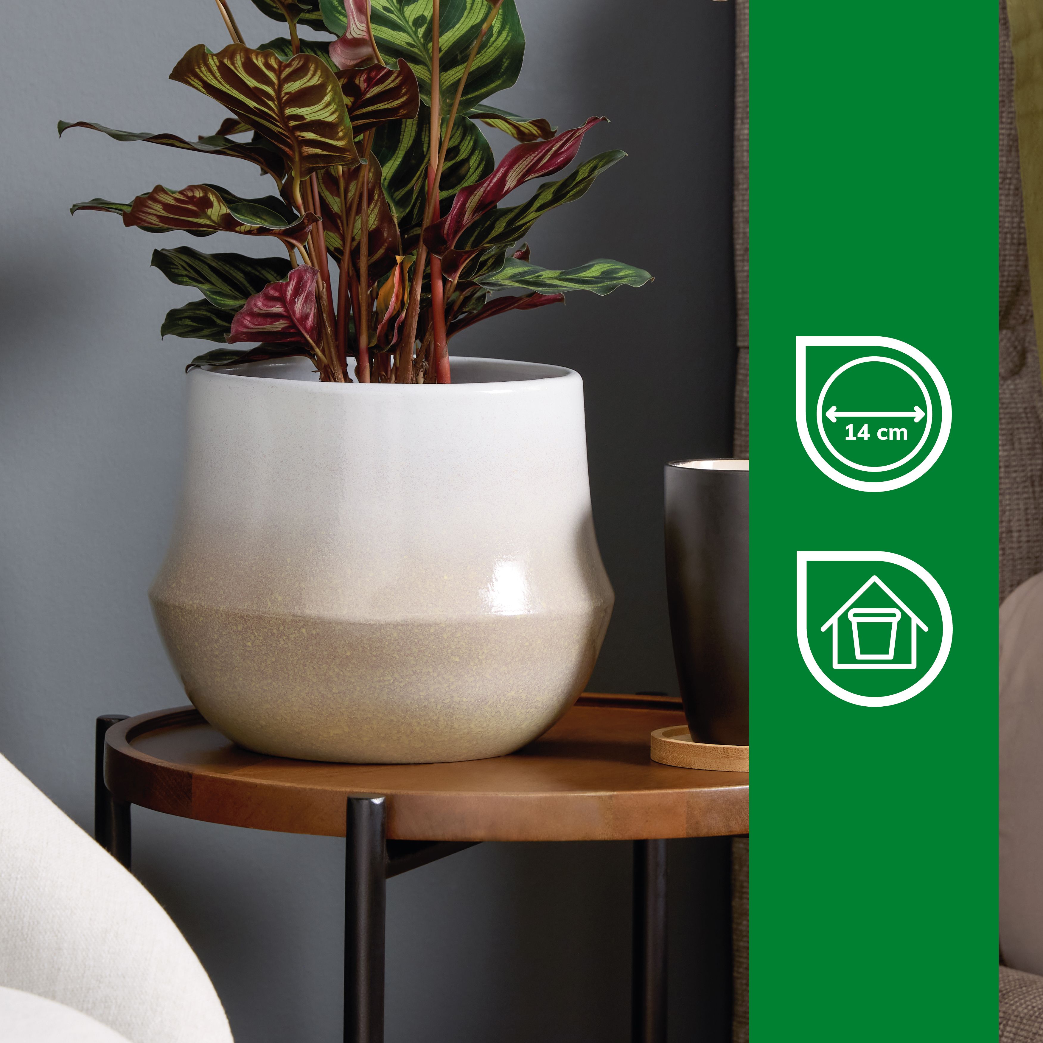 Verve Bell Cream Clay Plant pot (Dia) 20cm, (H)16cm