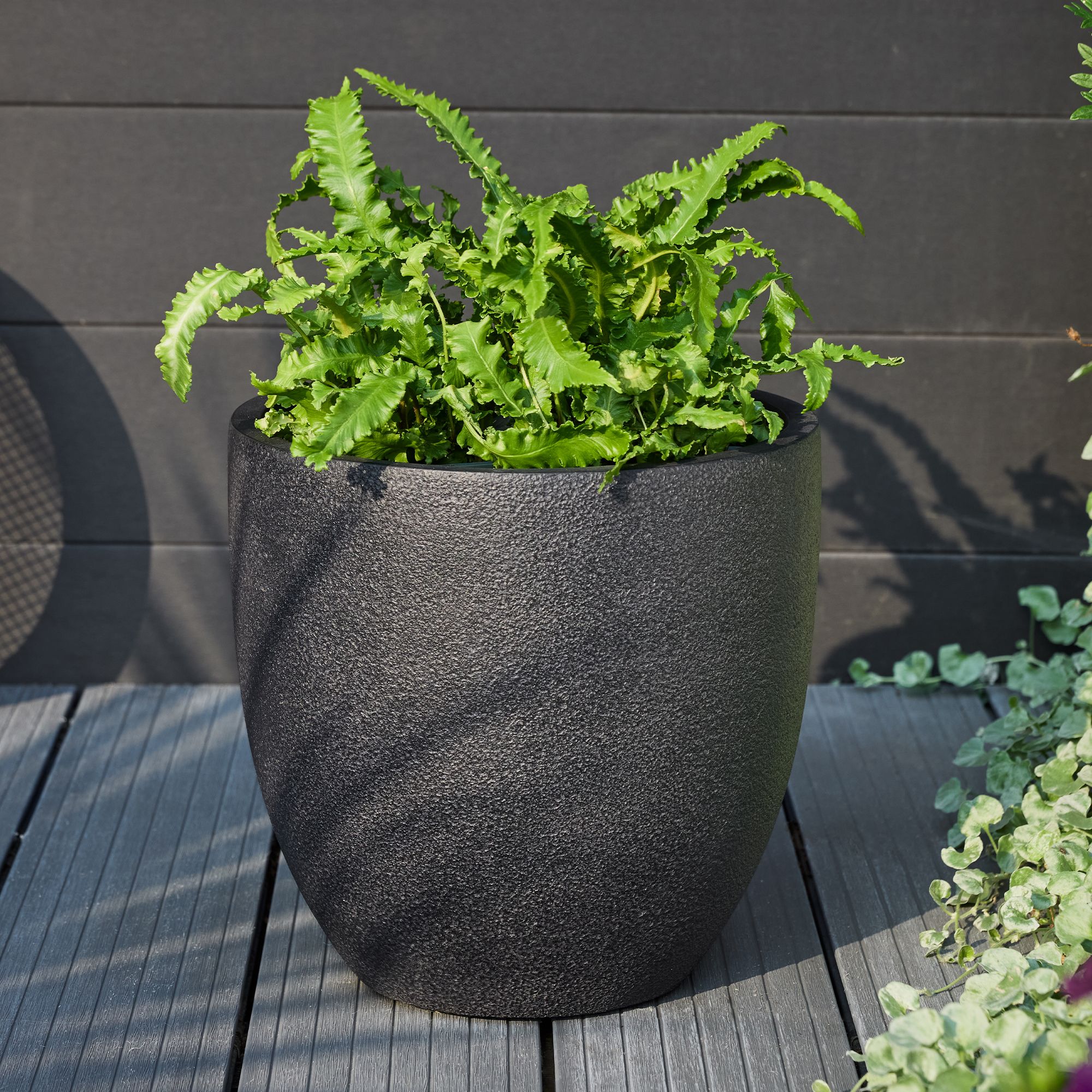 Verve Black Fibreclay Plant pot (Dia) 30.5cm, (H)29cm