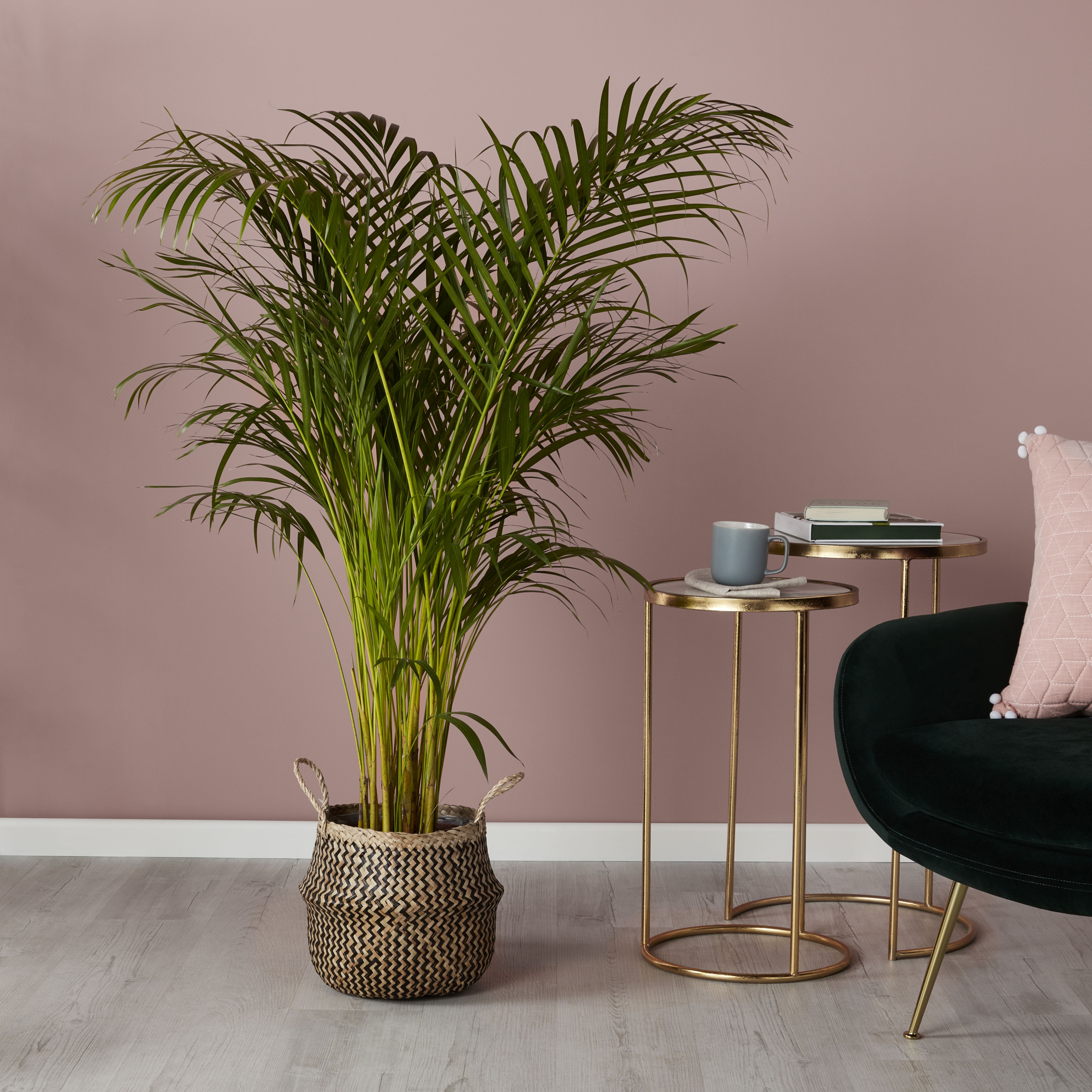 Verve Black Multicolour Zigzag Seagrass Plant pot (Dia) 35cm, (H)24cm
