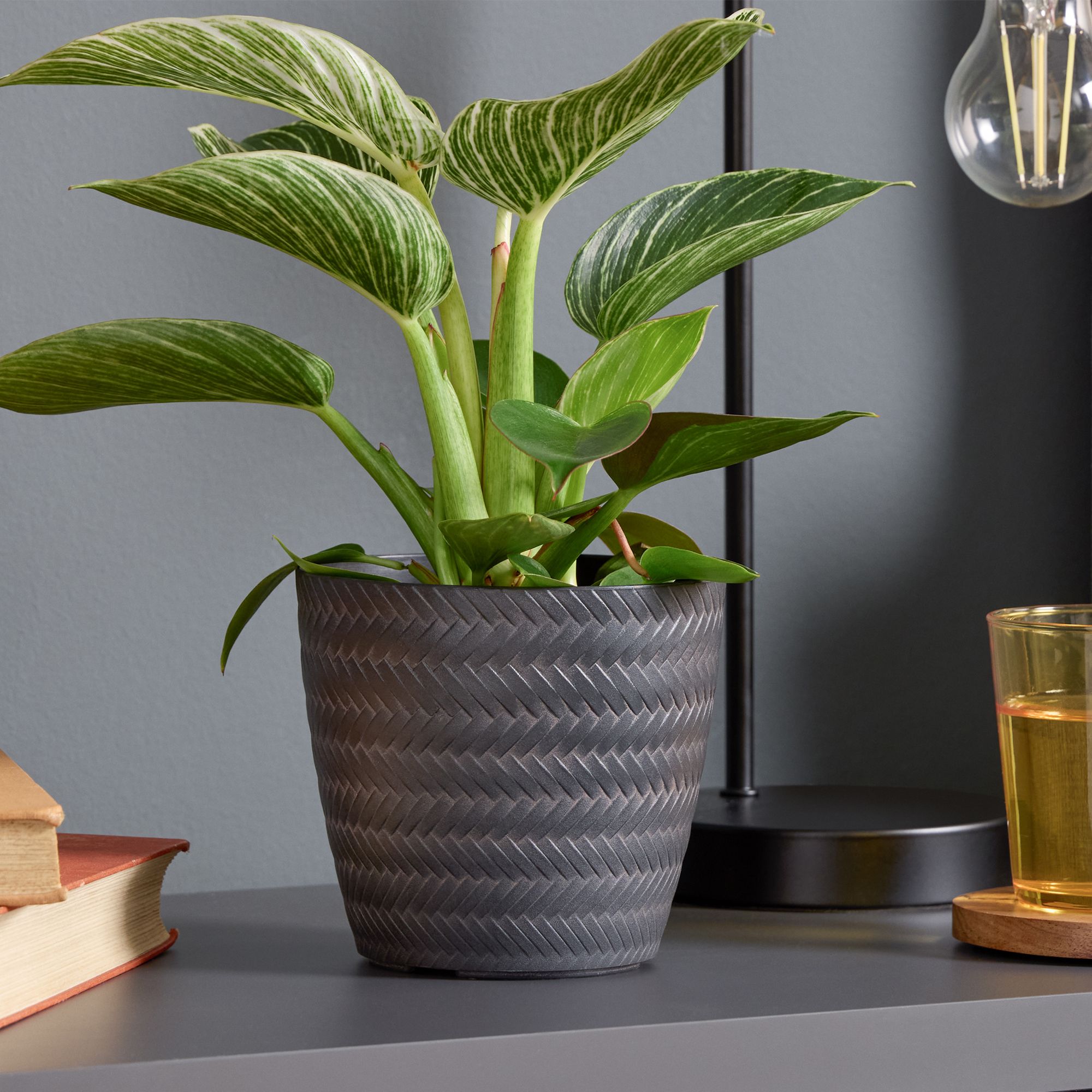 Verve Black Recycled plastic Plant pot (Dia) 13cm, (H)12cm