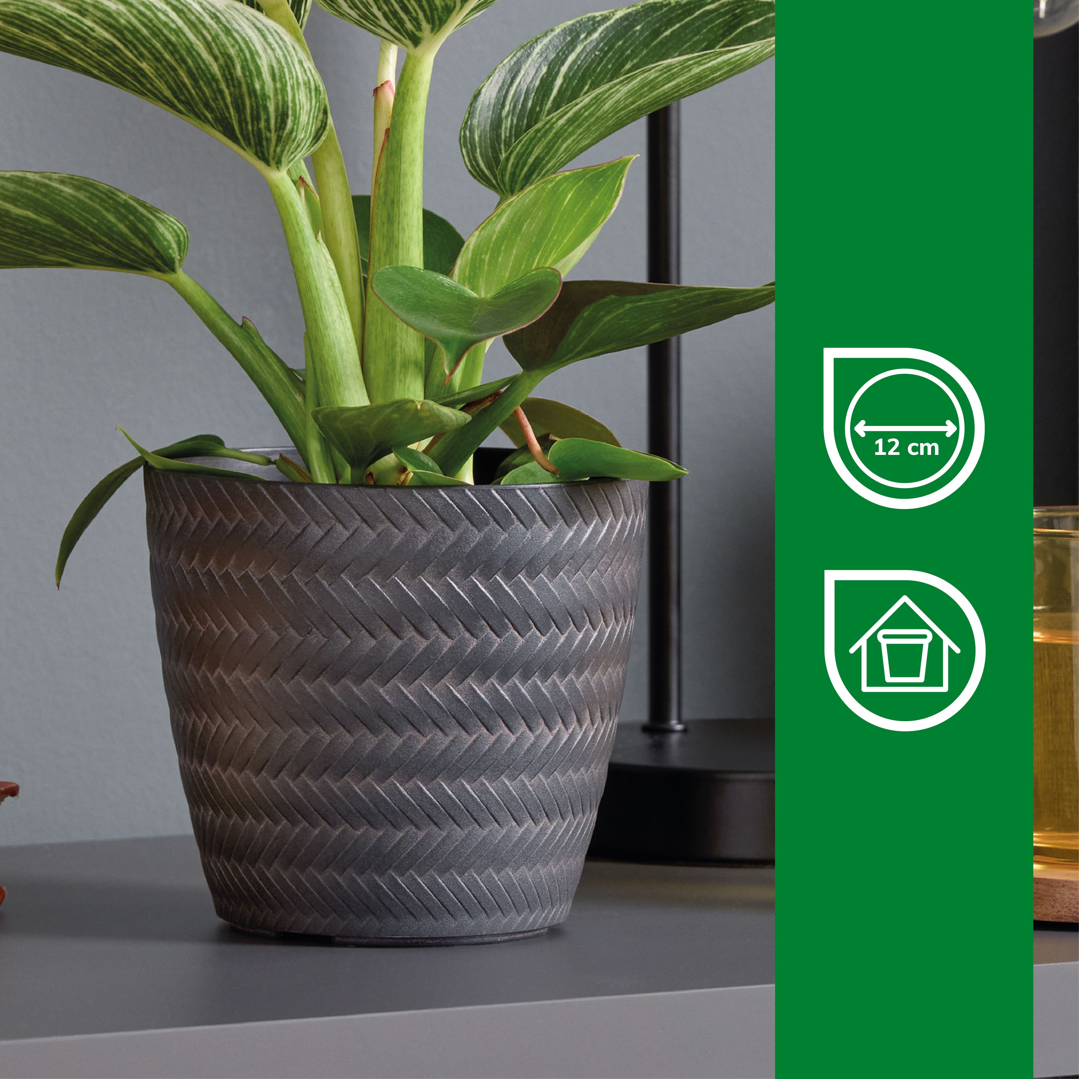Verve Black Recycled plastic Plant pot (Dia) 13cm, (H)12cm