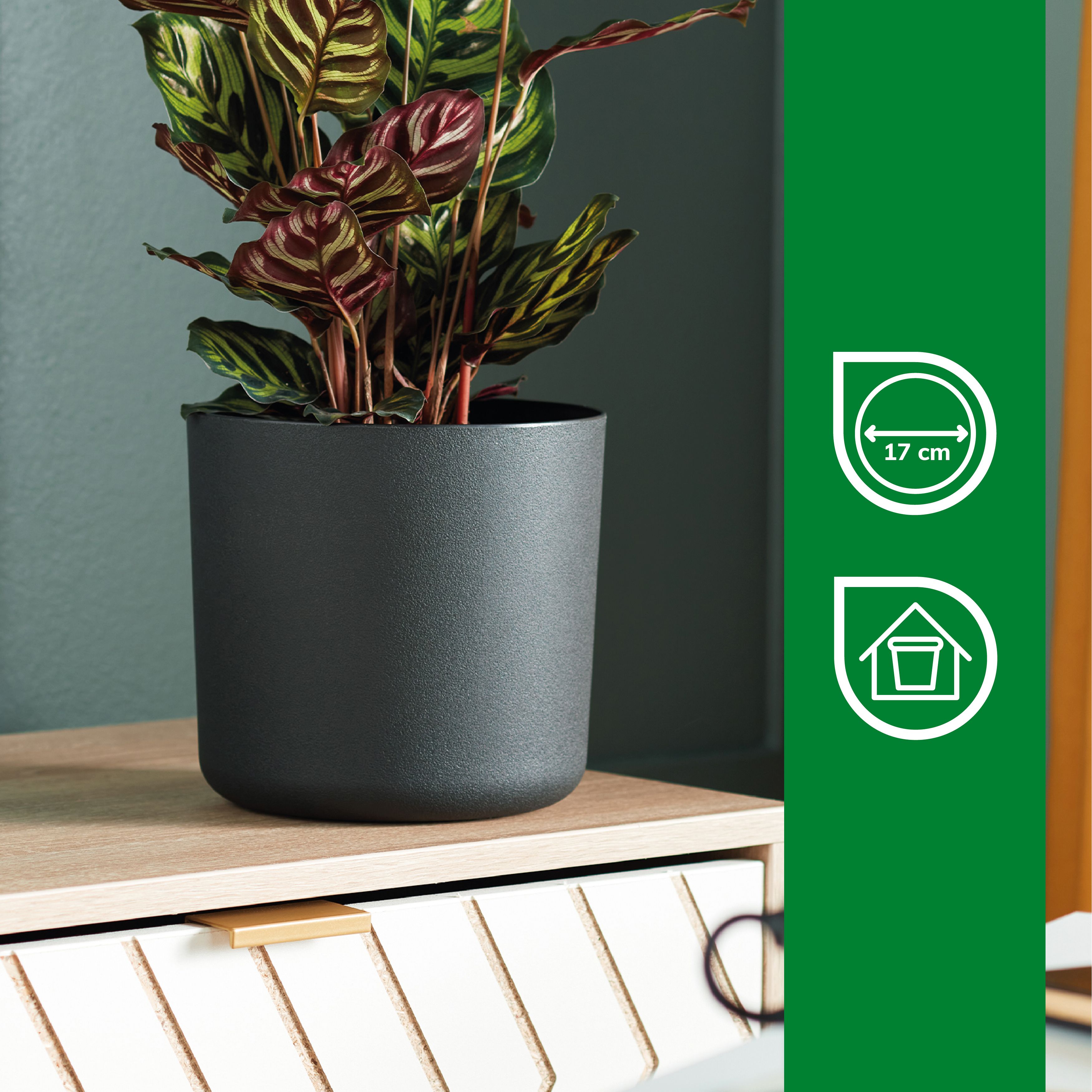 Verve Black Recycled plastic Plant pot (Dia) 18cm, (H)17cm