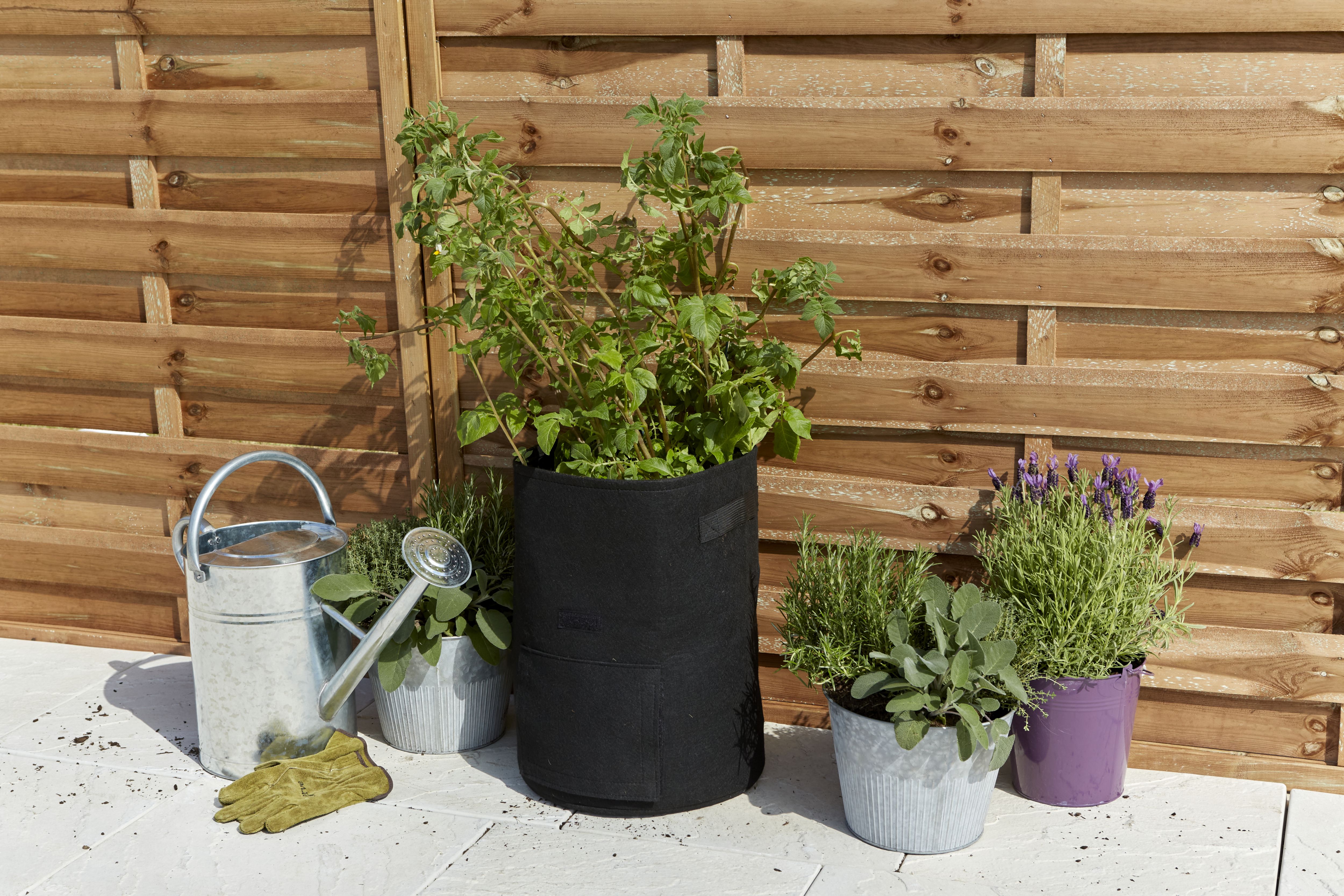 Verve Black Round Planter